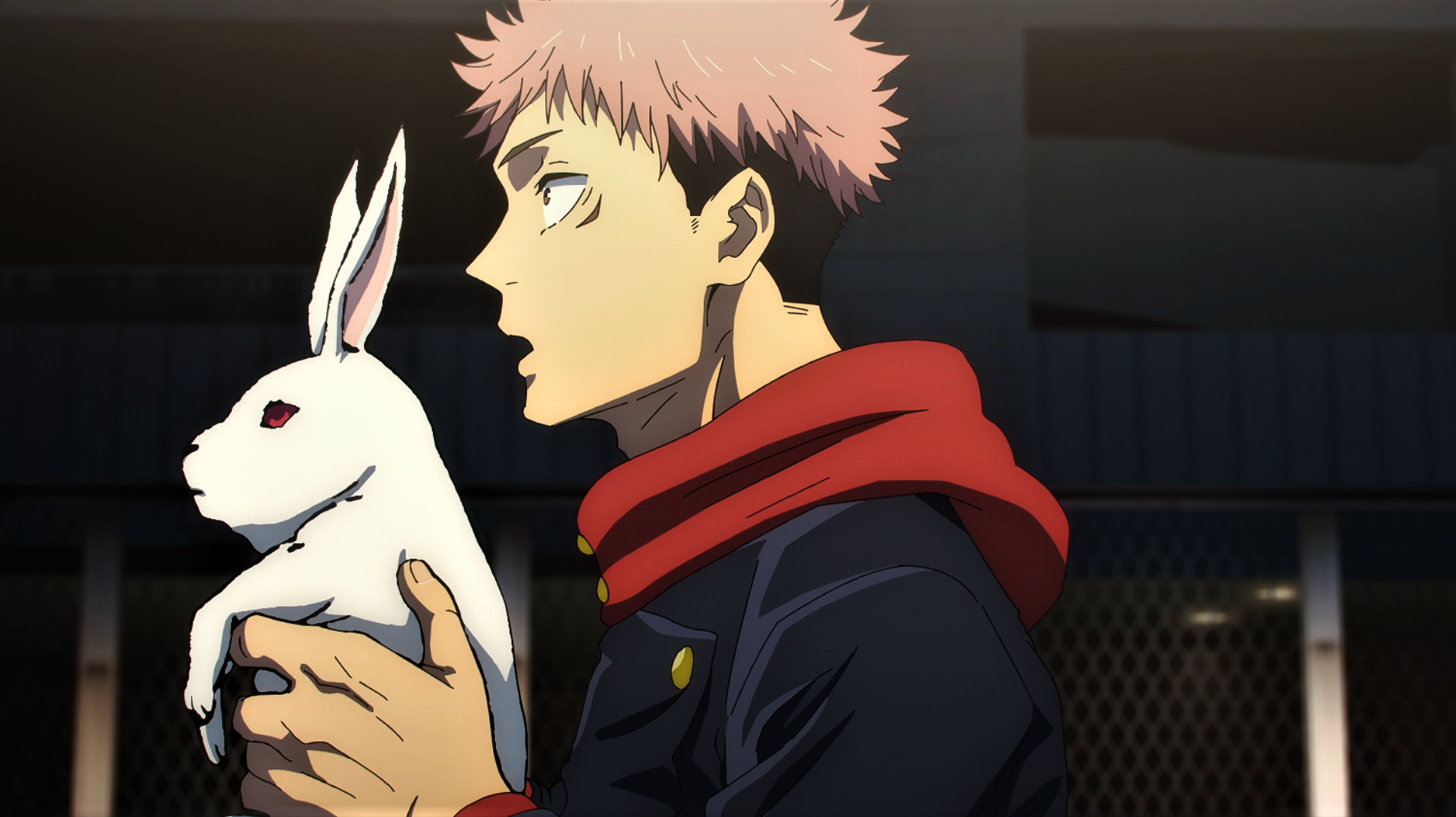 Anime 1920x1077 Jujutsu Kaisen rabbits bunny ears red eyes open mouth pink hair undercut (hairstyle) hoods uniform anime anime screenshot anime boys animals