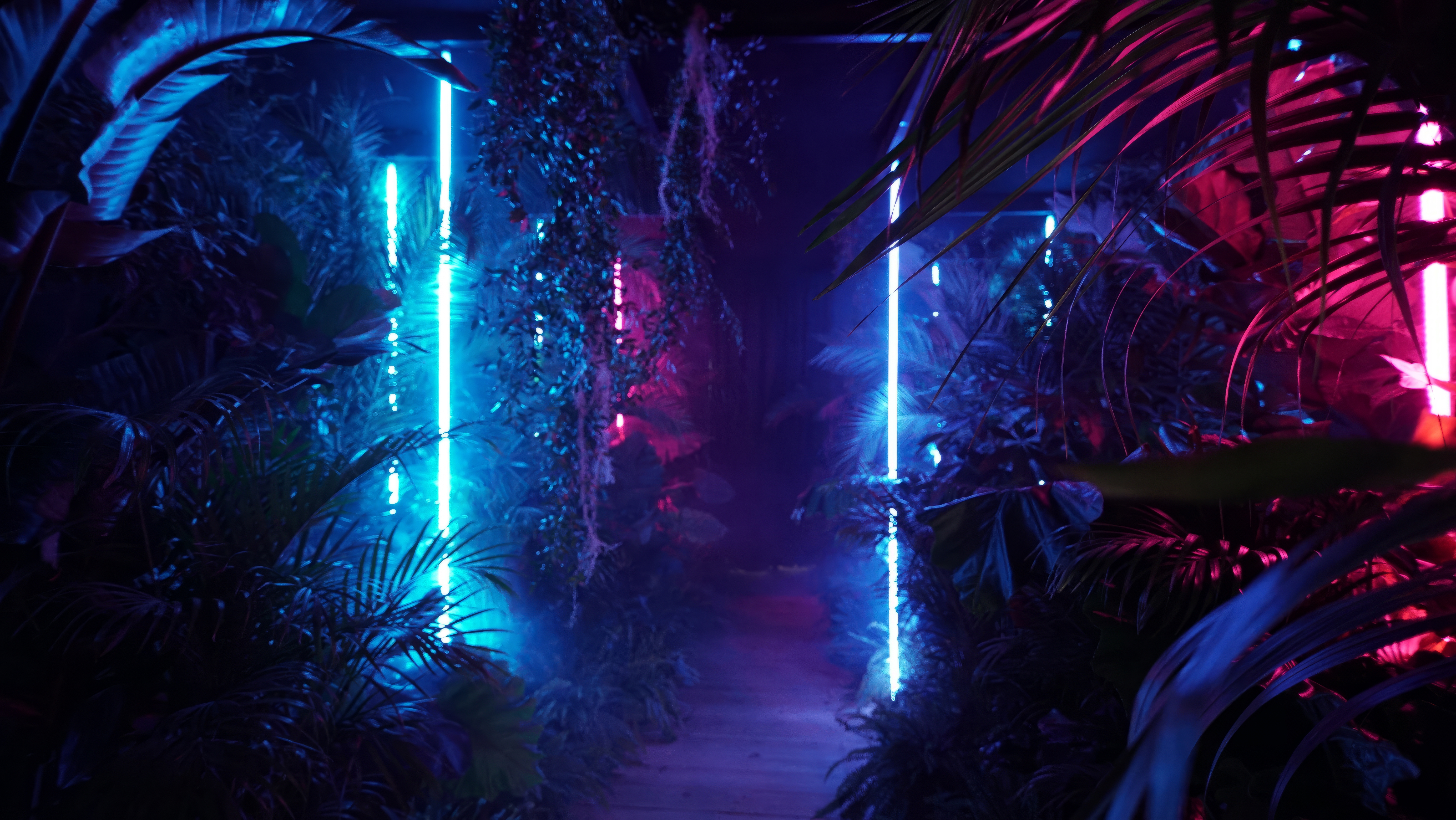 General 5536x3120 plants ferns exotic neon lights blue pink glowing low light