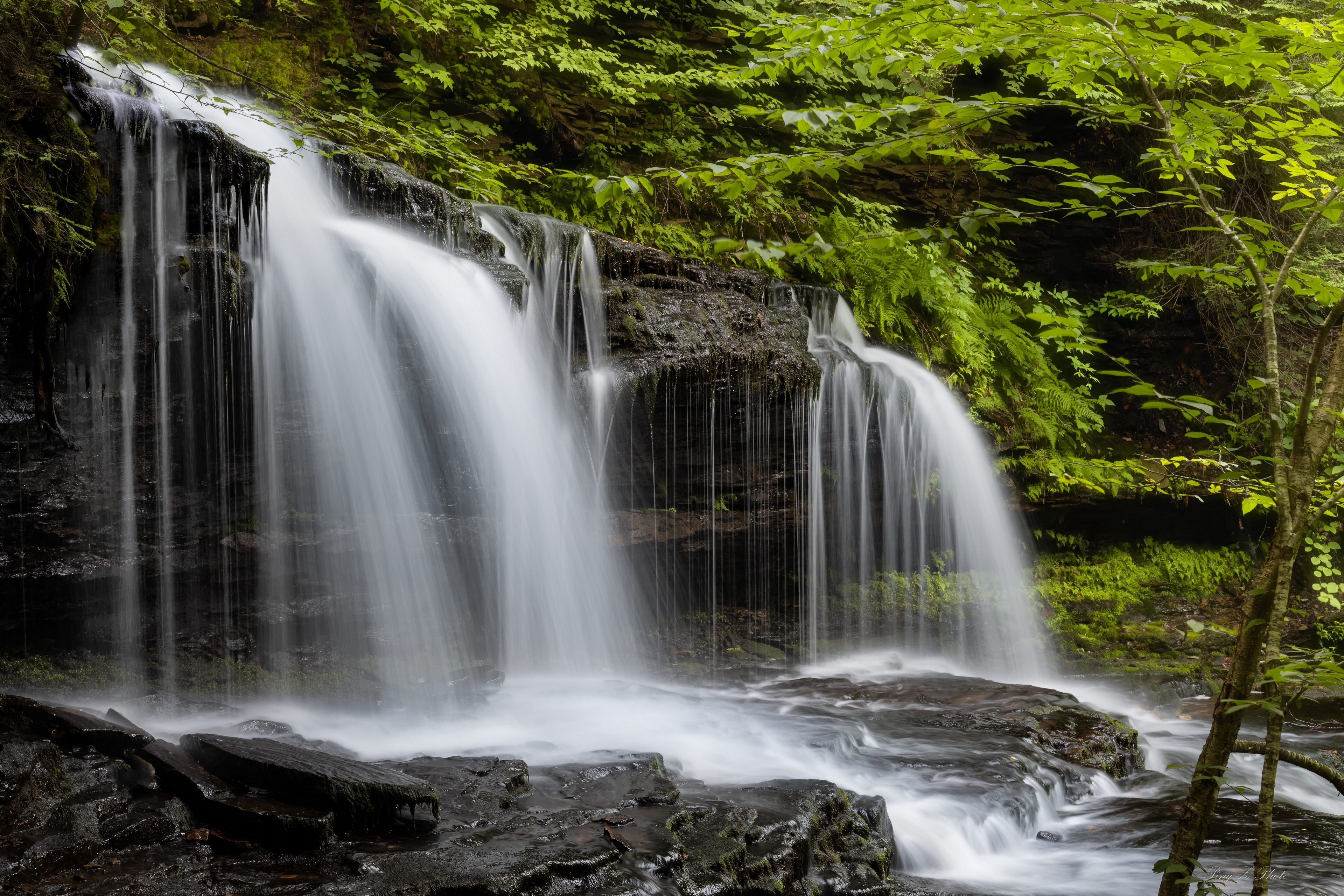 General 3840x2560 Ricketts Glen State Park USA Pennsylvania nature waterfall forest rocks water