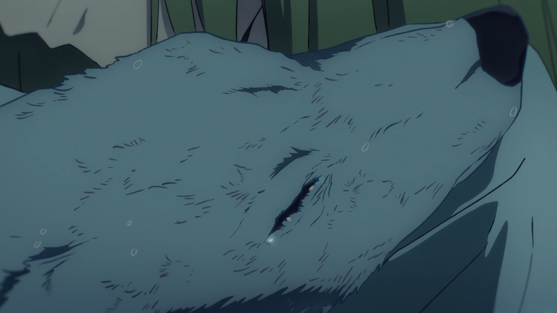 Anime 1920x1080 Fate series Fate strange Fake Enkidu (FGO) wolf anime Anime screenshot gender-fluid tears closed eyes closeup