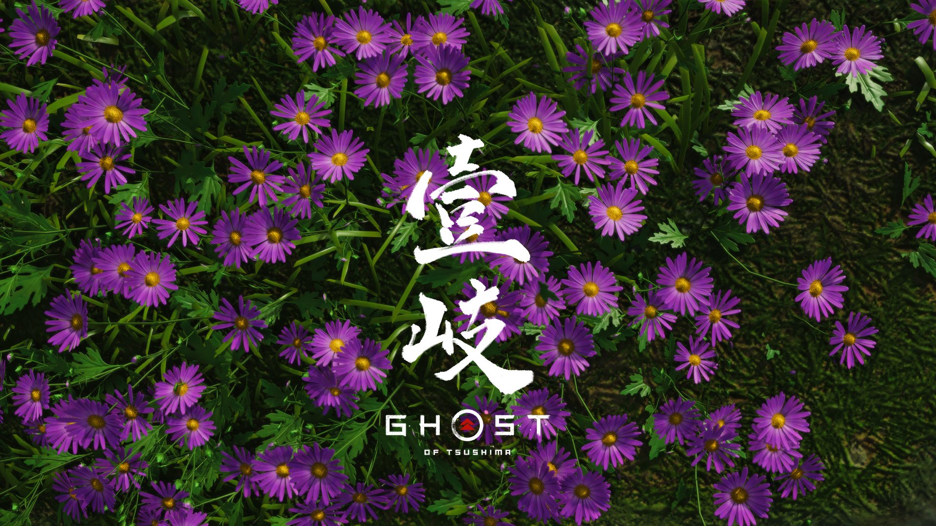 General 1920x1080 Ghost of Tsushima  flowers violet (color) video games nature Jin Sakai