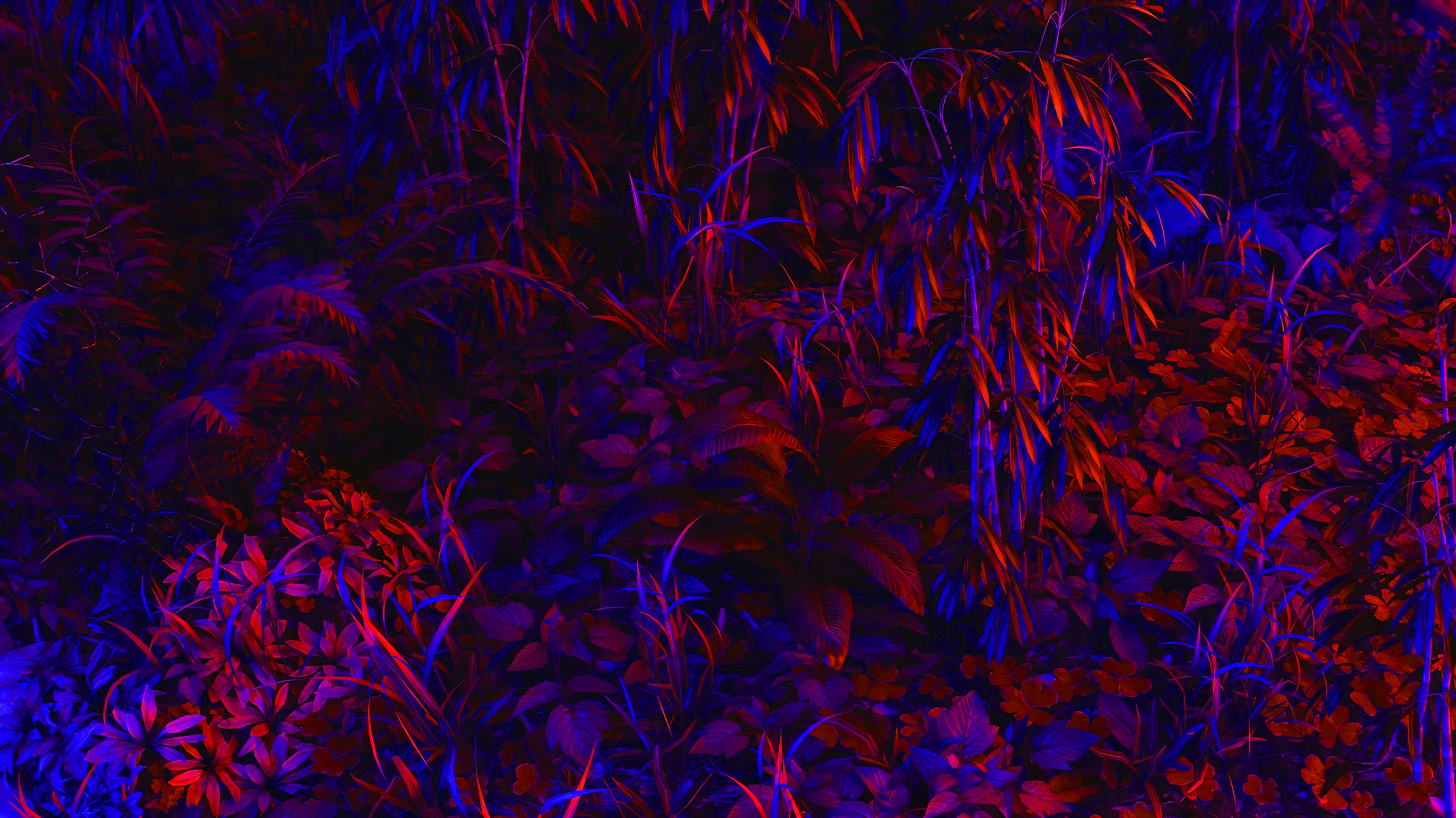 General 3840x2160 exotic plants ferns grass blue red neon bright