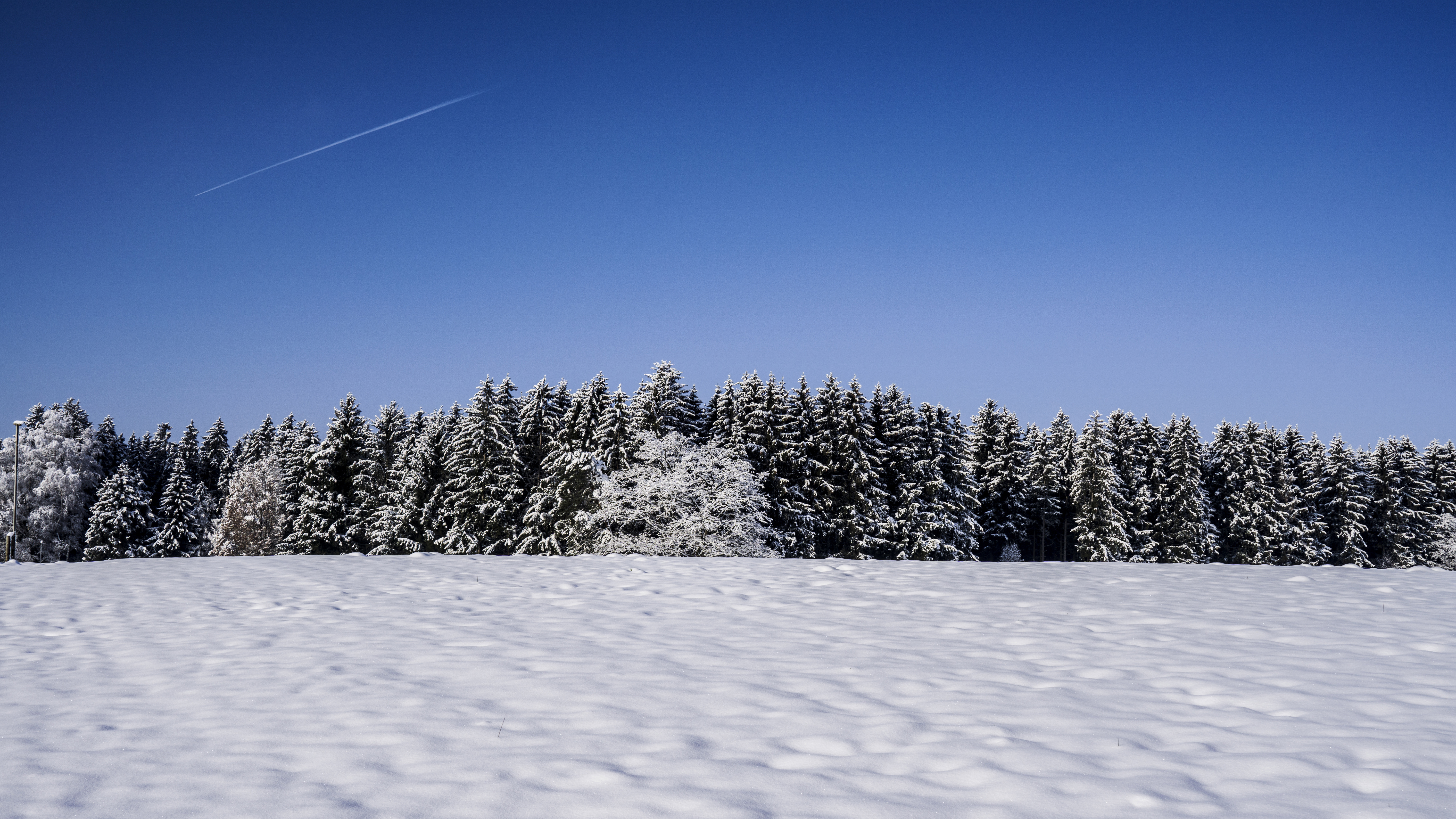 General 6000x3376 nature landscape trees snow winter outdoors sky wide angle contrails