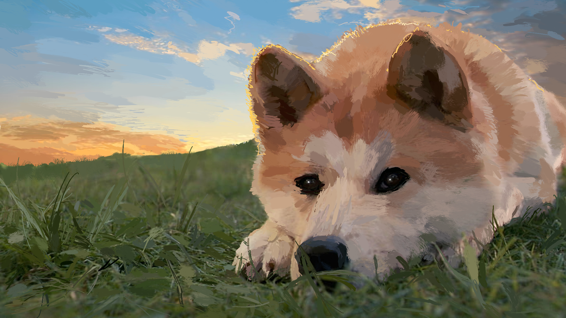 General 1920x1080 Shiba Inu shiba resting head doge sunset