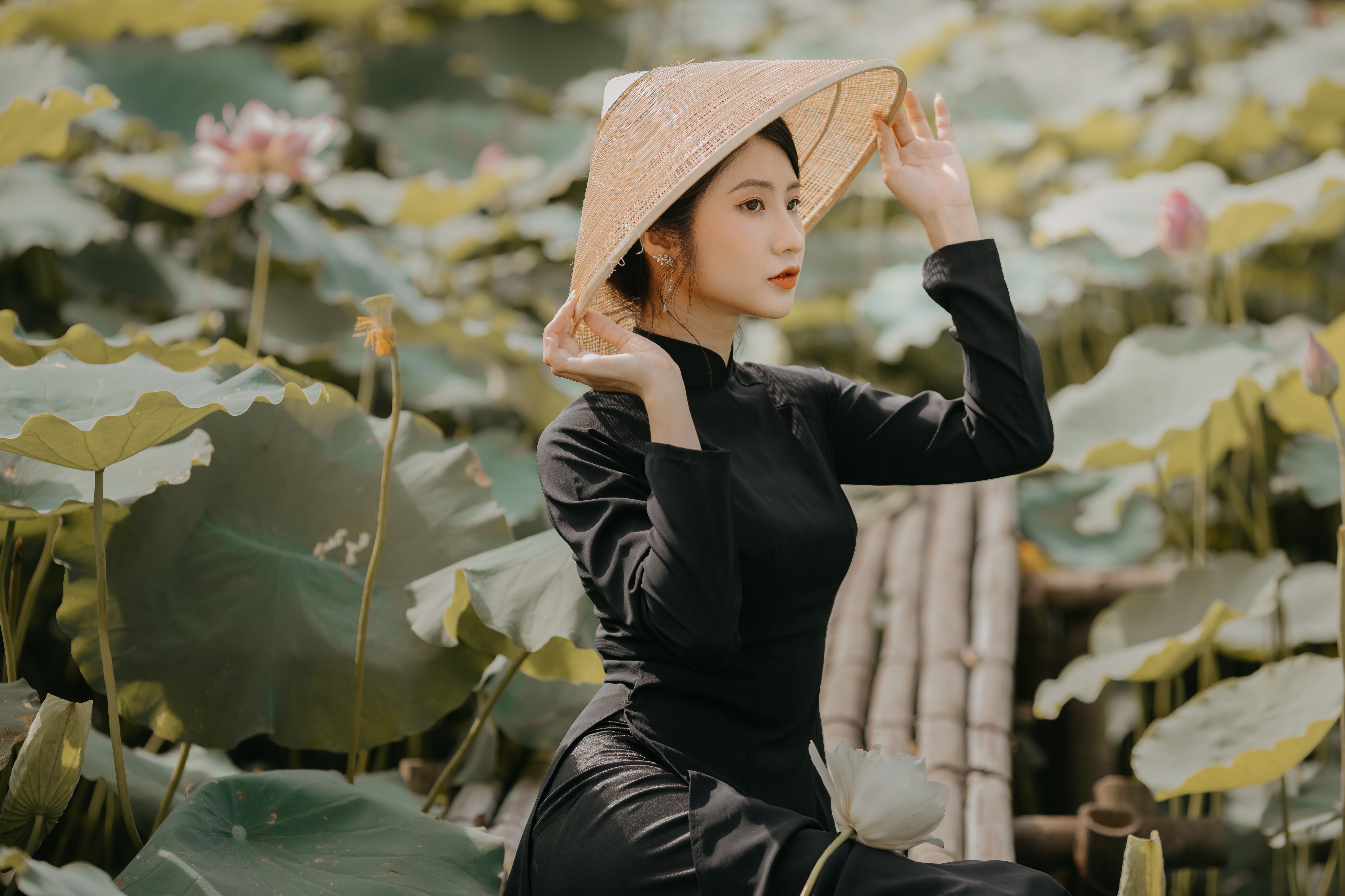 People 6720x4480 women Asian hat looking into the distance black clothing women outdoors plants áo dài