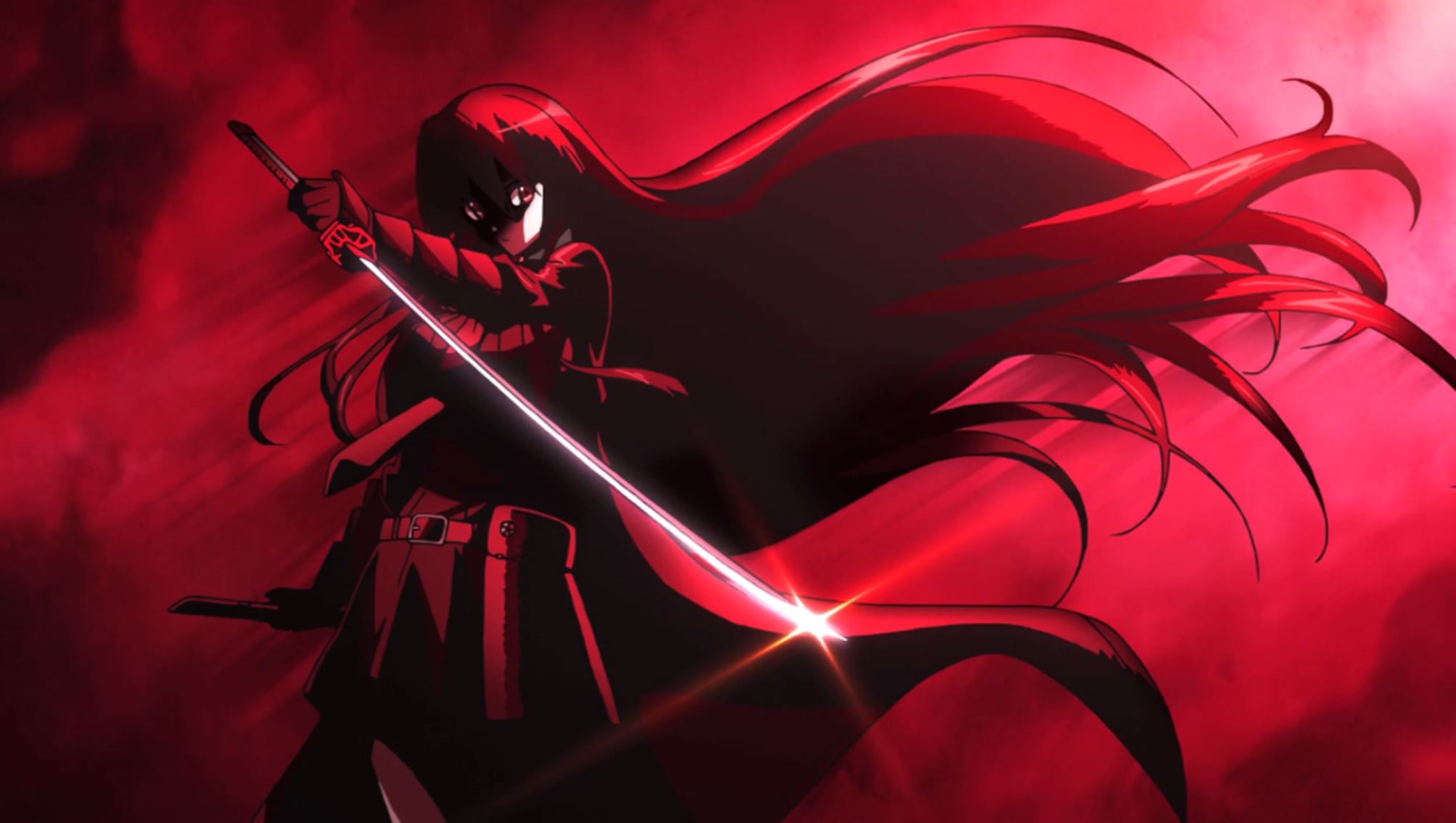 Anime 2007x1135 Akame Akame ga Kill! anime girls anime red background sword women with swords long hair red