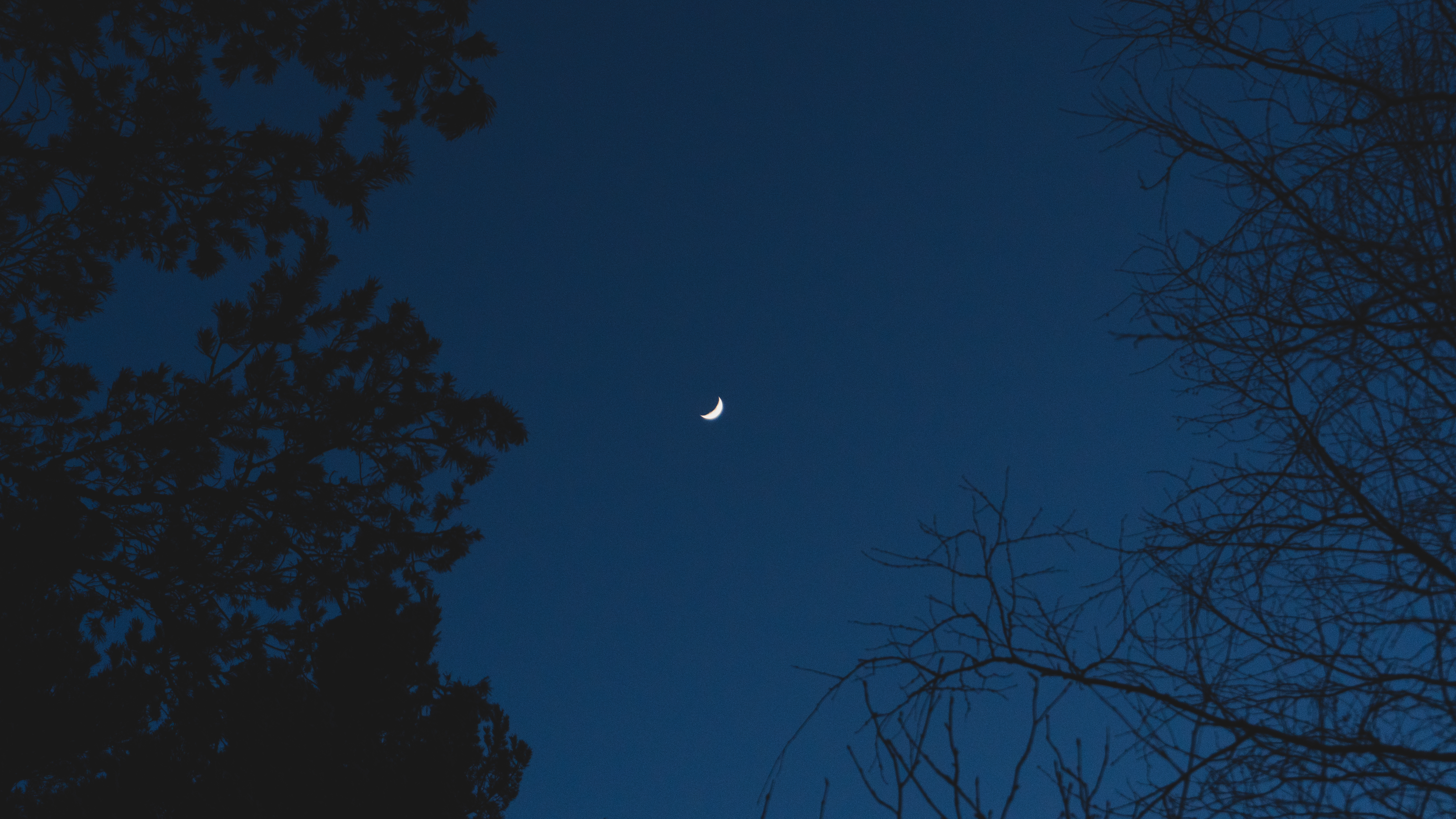 General 6000x3375 Moon night dark sky trees branch crescent moon blue clear sky