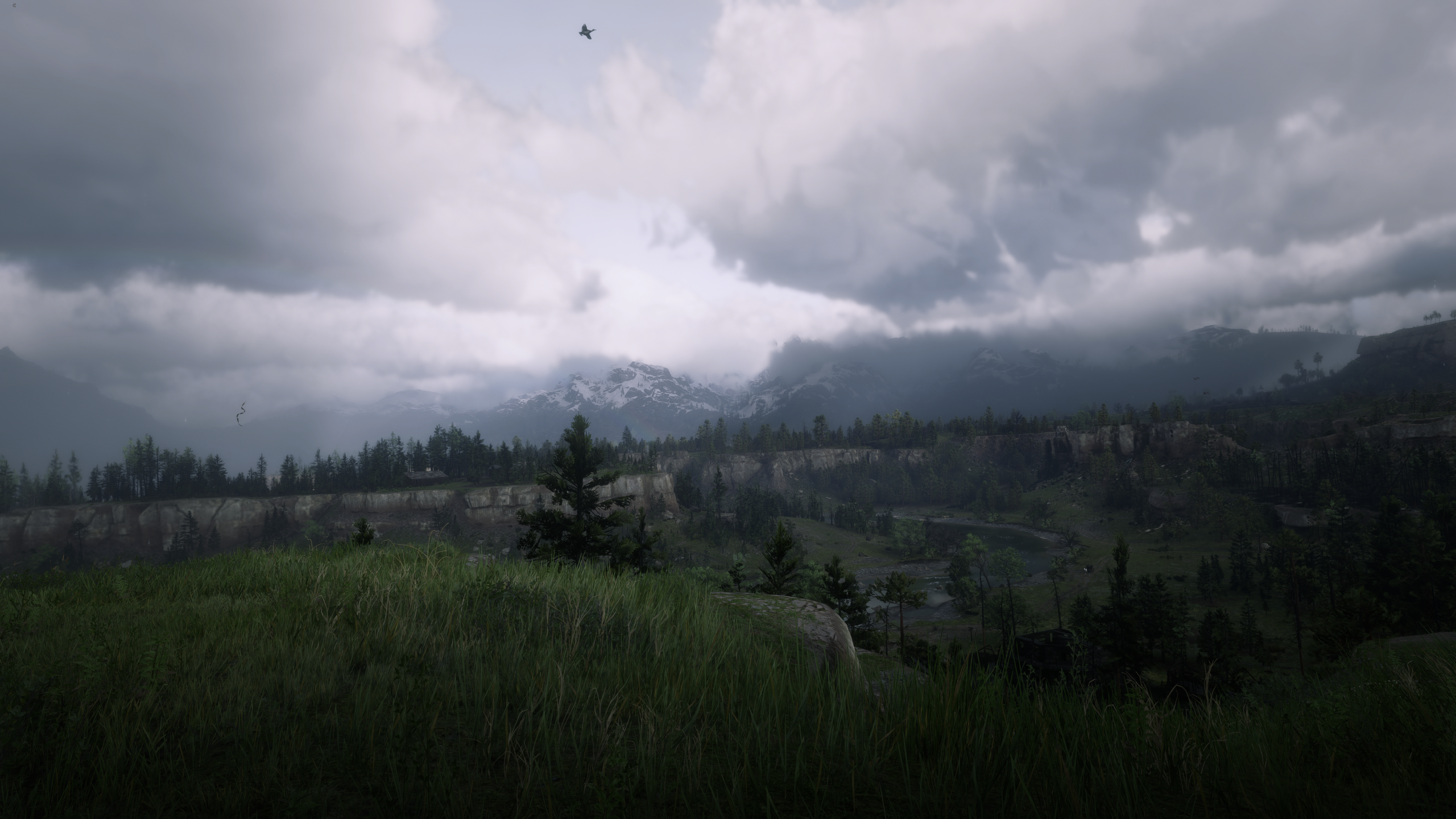 General 2560x1440 landscape nature video game art Red Dead Redemption Red Dead Redemption 2 overcast clouds mountains video games trees