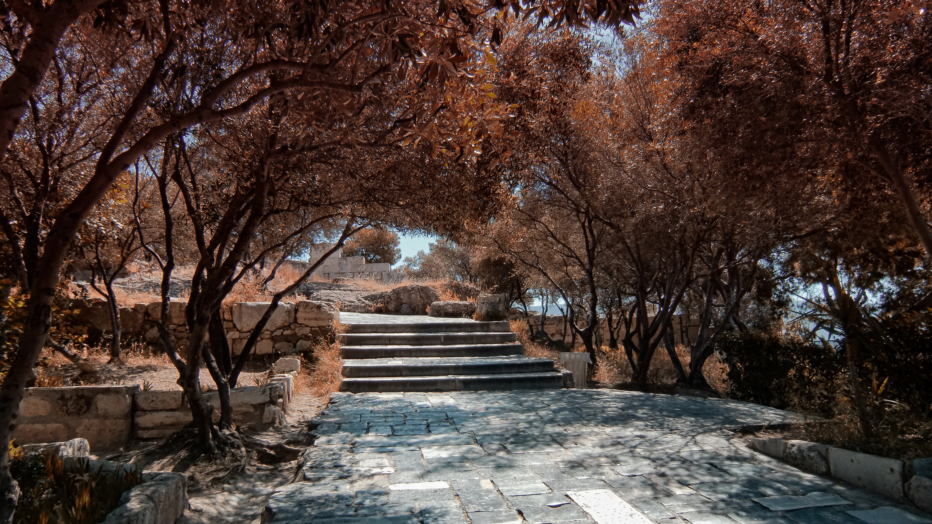 General 3000x1688 trees stairs fall outdoors plants