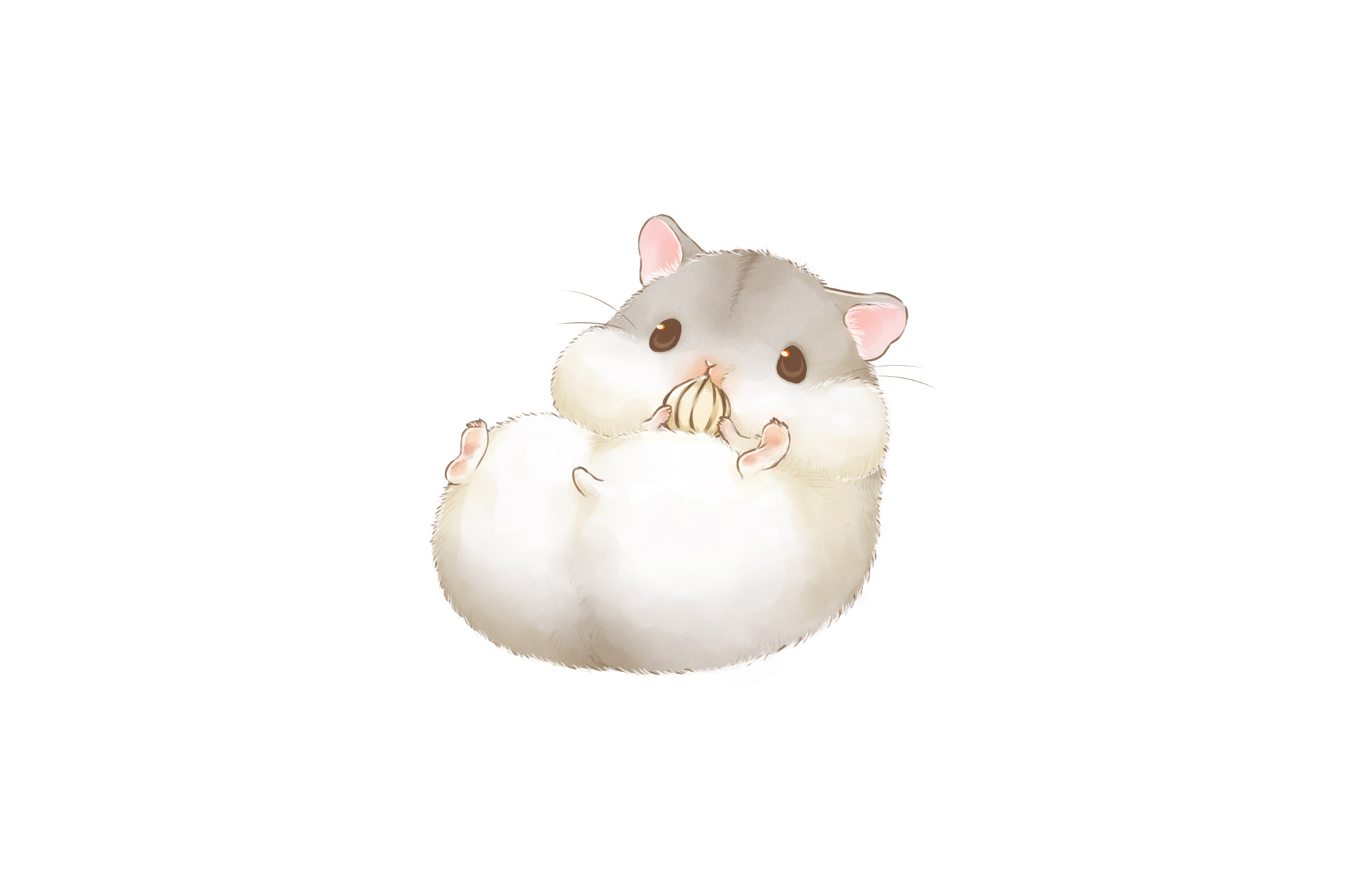Anime 1920x1280 hamster eating furry