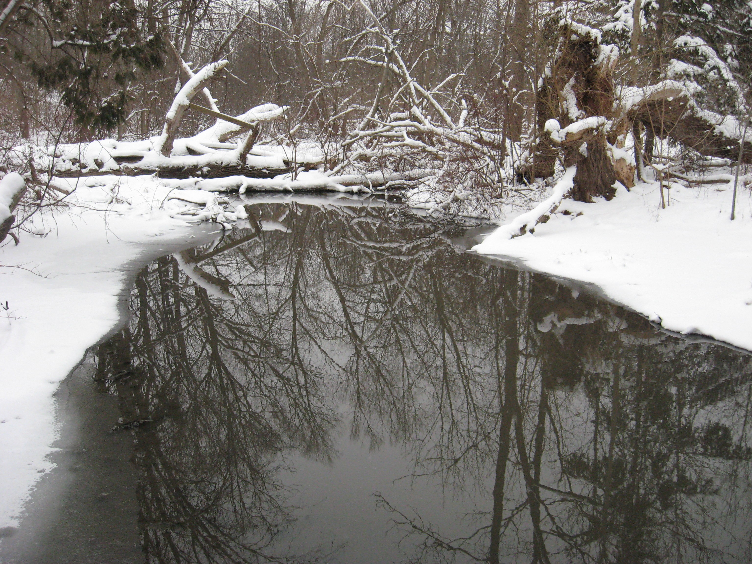 General 3072x2304 winter nature snow trees reflection