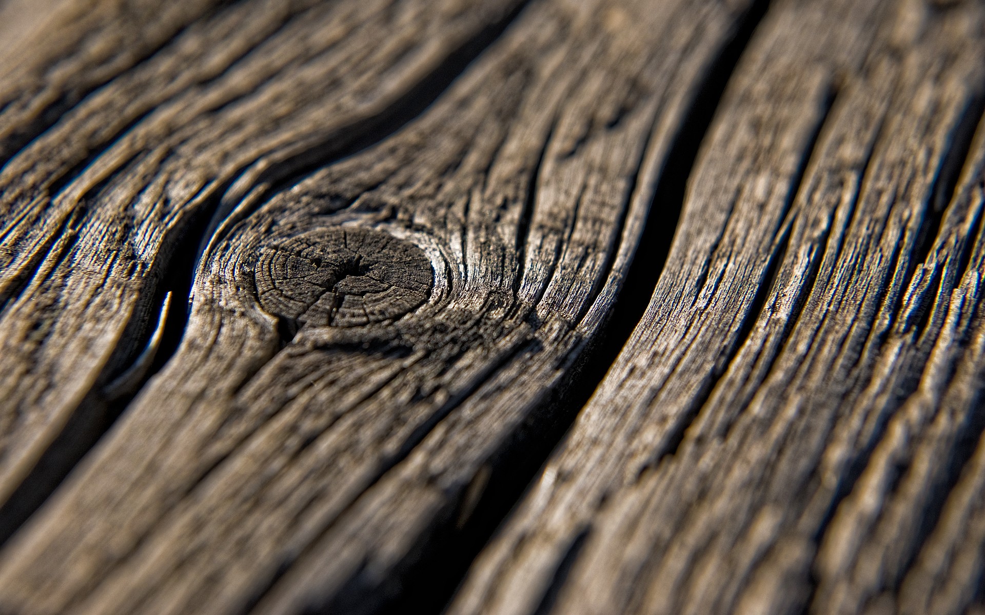 General 1920x1200 macro nature wooden surface wood texture