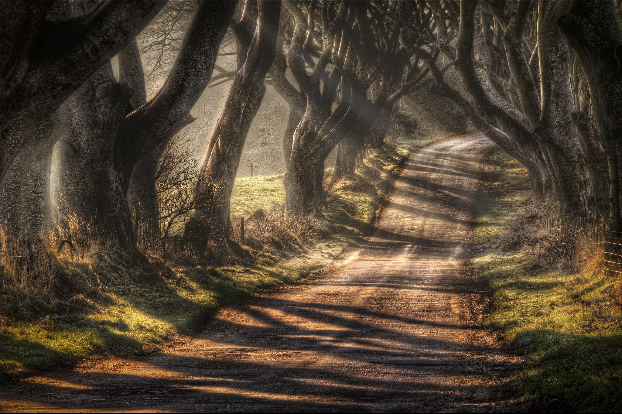 General 2048x1363 landscape sunlight road nature trees HDR fence sun rays dirt road