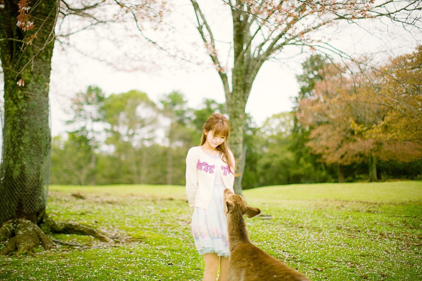 People 1680x1119 Yurisa Chan Korean model women women outdoors mammals deer animals trees outdoors standing