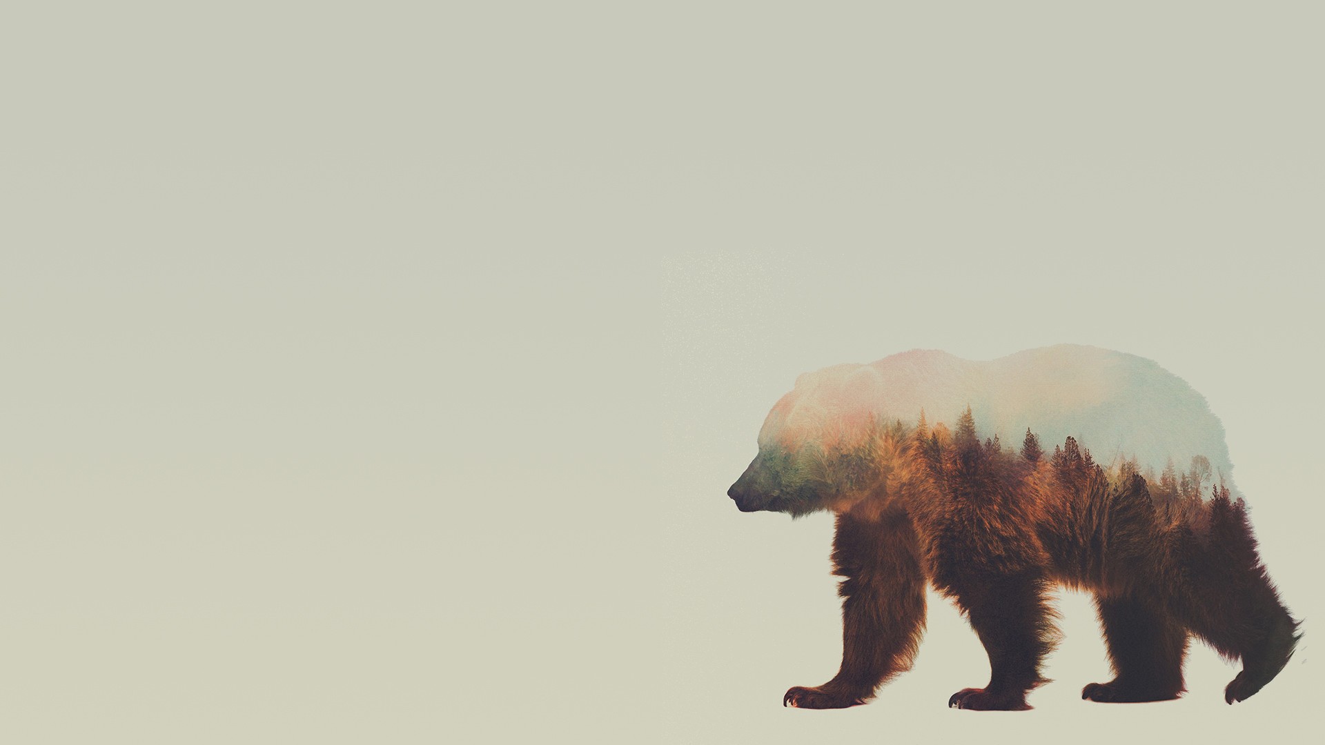 General 1920x1080 double exposure Andreas Lie animals nature bears mammals