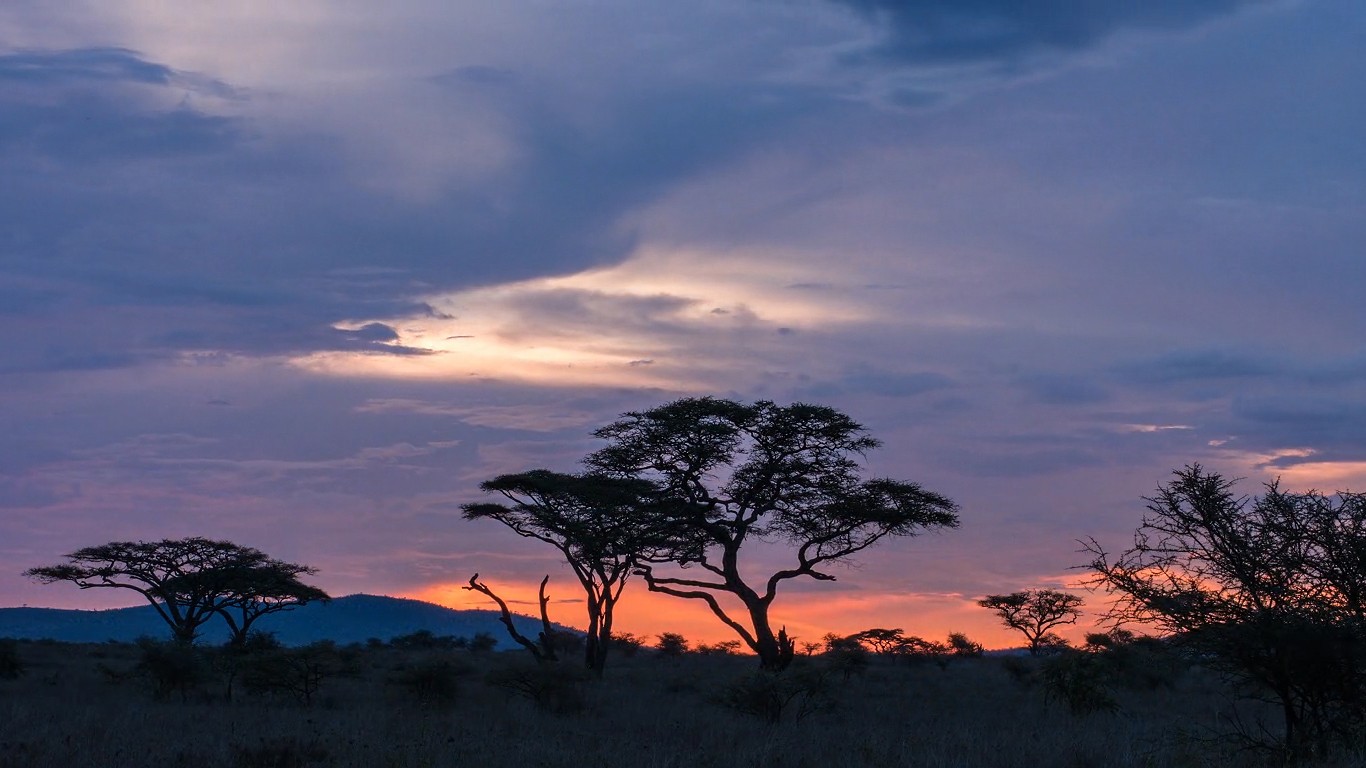 General 1366x768 nature landscape savannah umbrella thorn field sunset sky sunlight dark trees outdoors Africa