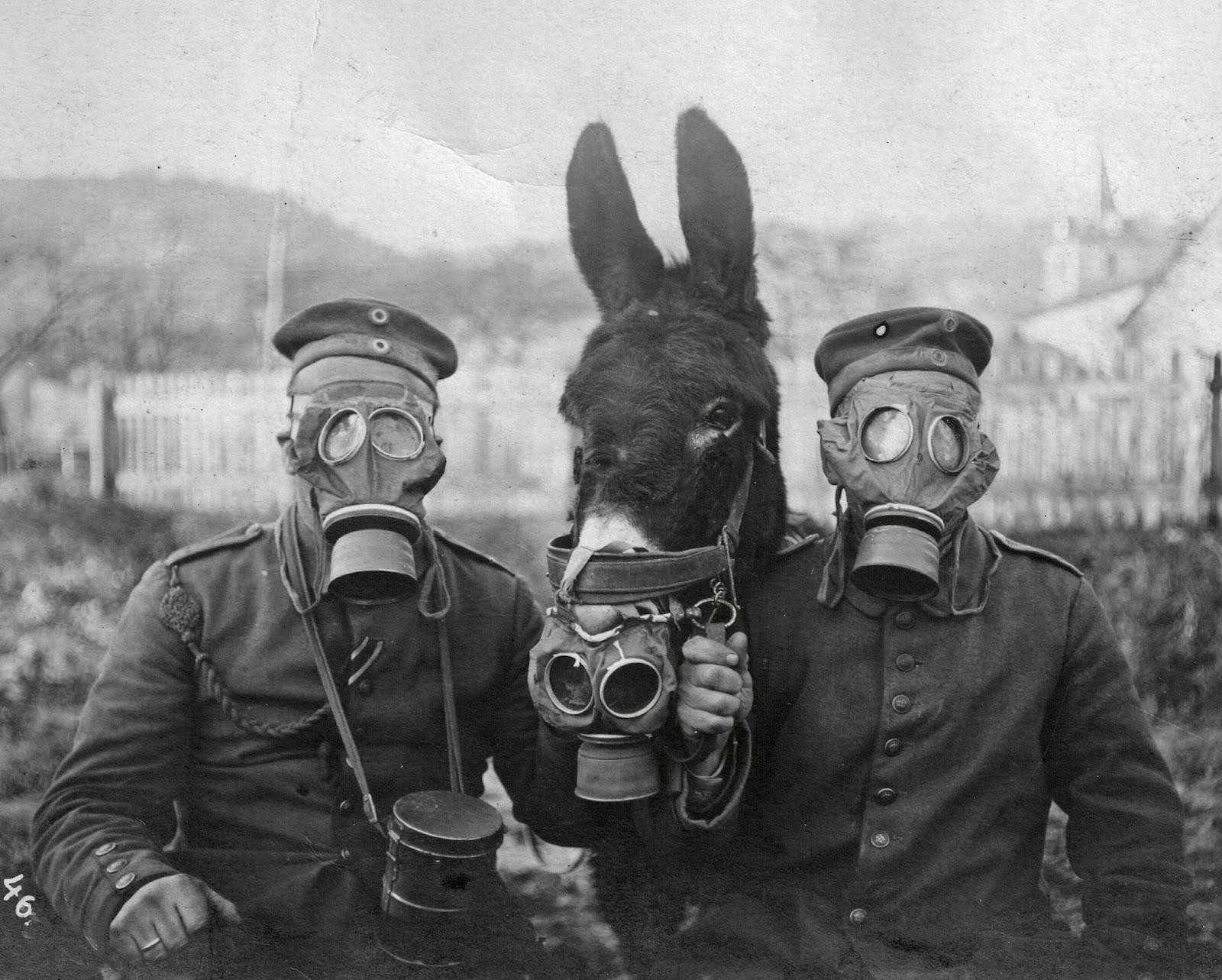 General 1600x1283 gas masks World War I monochrome soldier animals mammals vintage war men