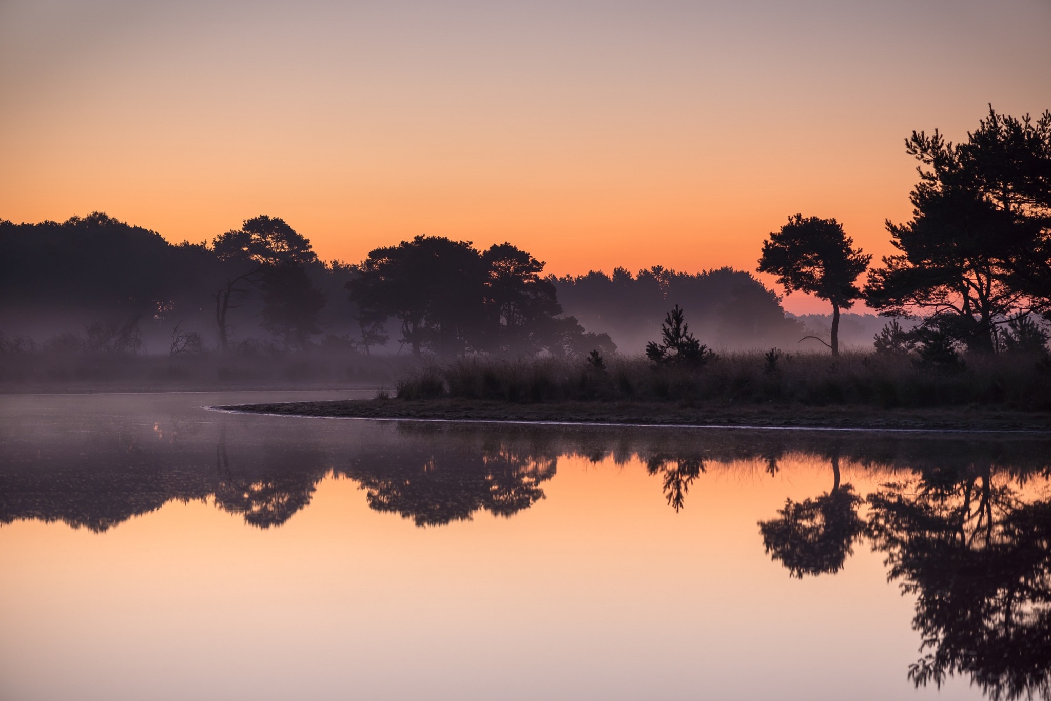 General 2048x1366 nature landscape lake mist trees water reflection forest calm Netherlands sunrise calm waters