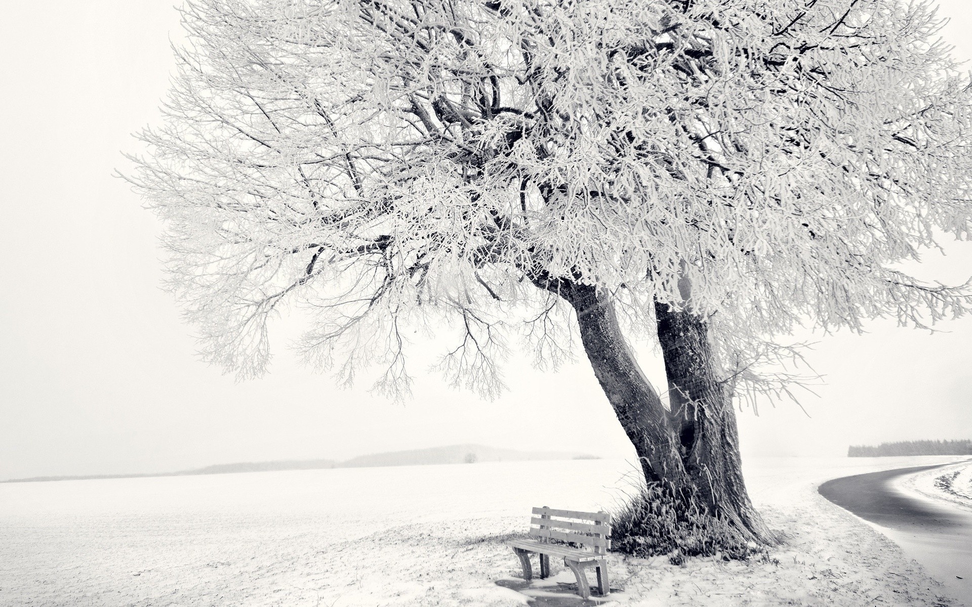 General 1920x1200 bench trees winter snow outdoors cold