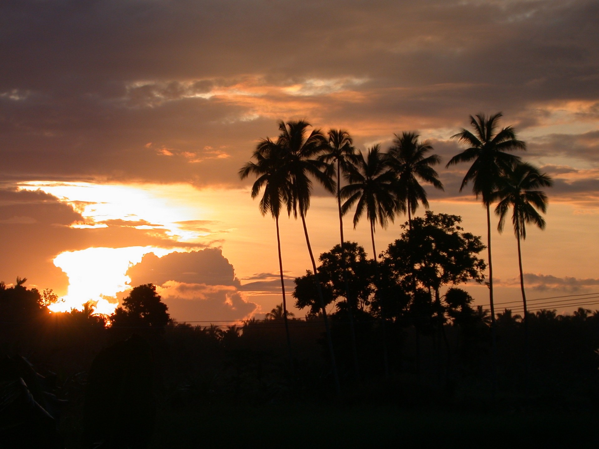 General 1920x1440 palm trees sunset orange sky landscape silhouette sunlight outdoors
