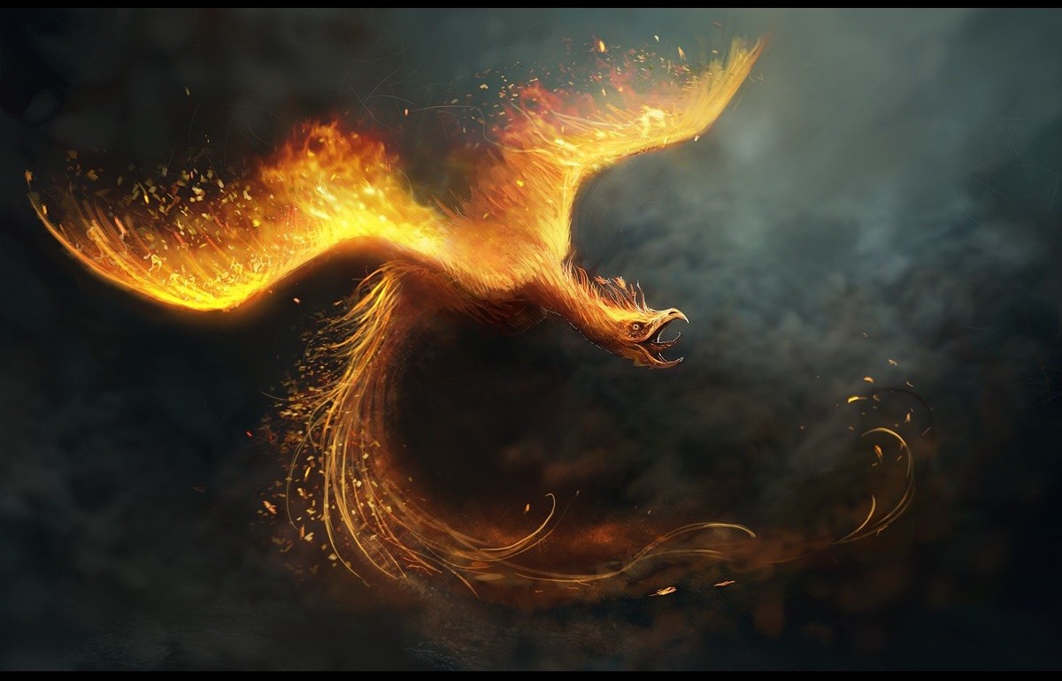 General 1200x770 phoenix fire digital art birds animals creature fantasy art burning