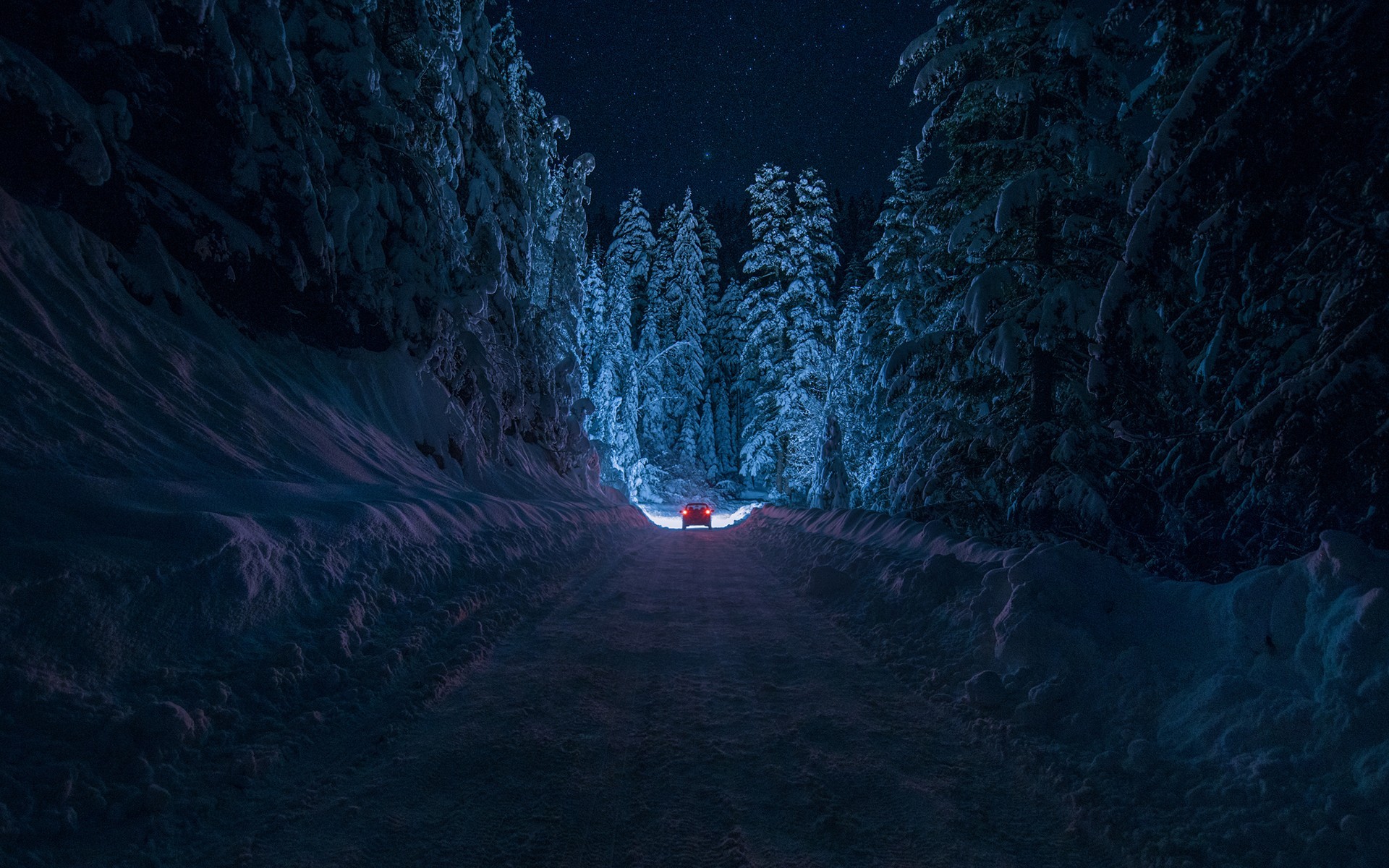 General 1920x1200 winter night nature forest snow path car vehicle dark cold