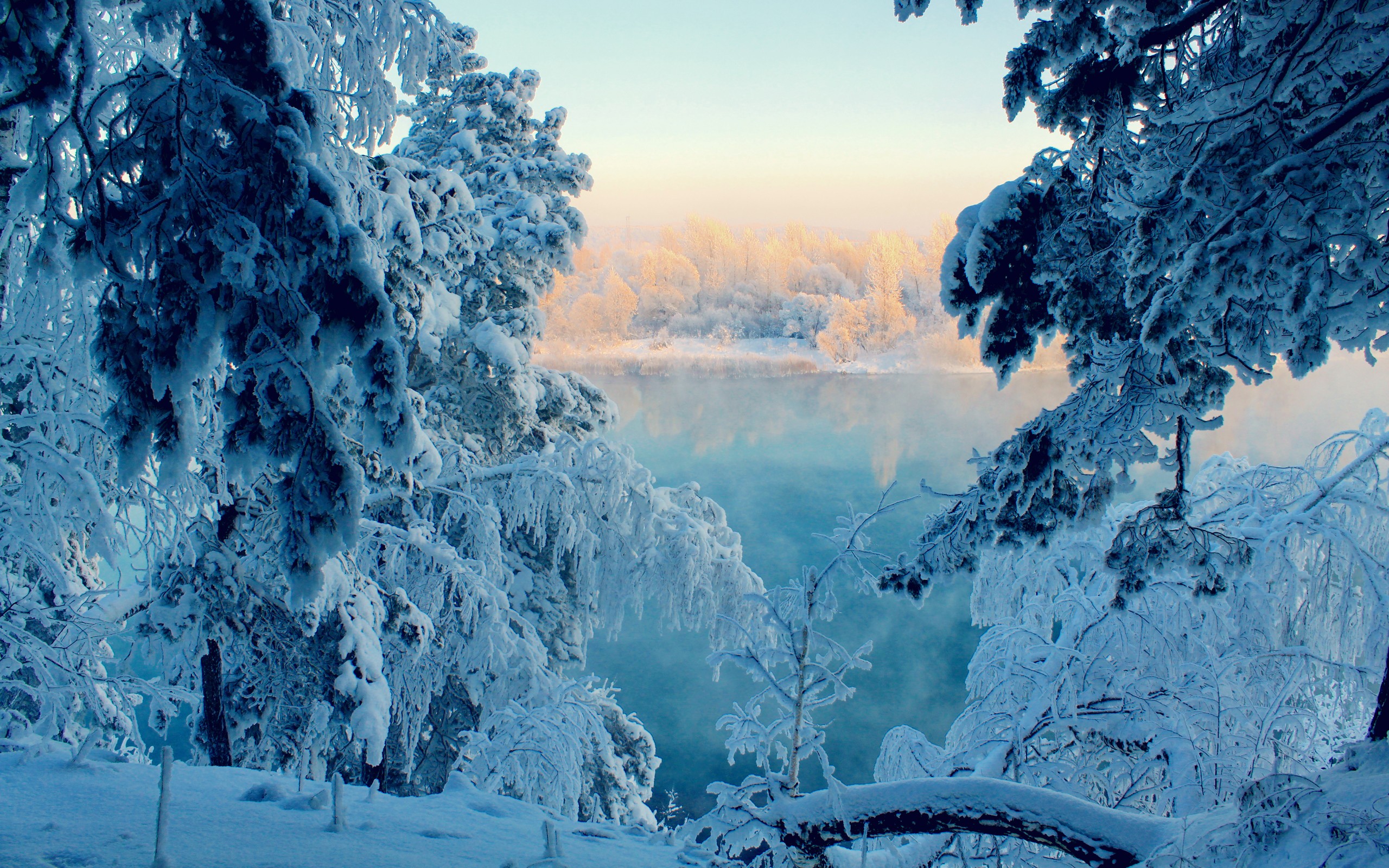 General 2560x1600 landscape snow forest photography nature river water winter frost