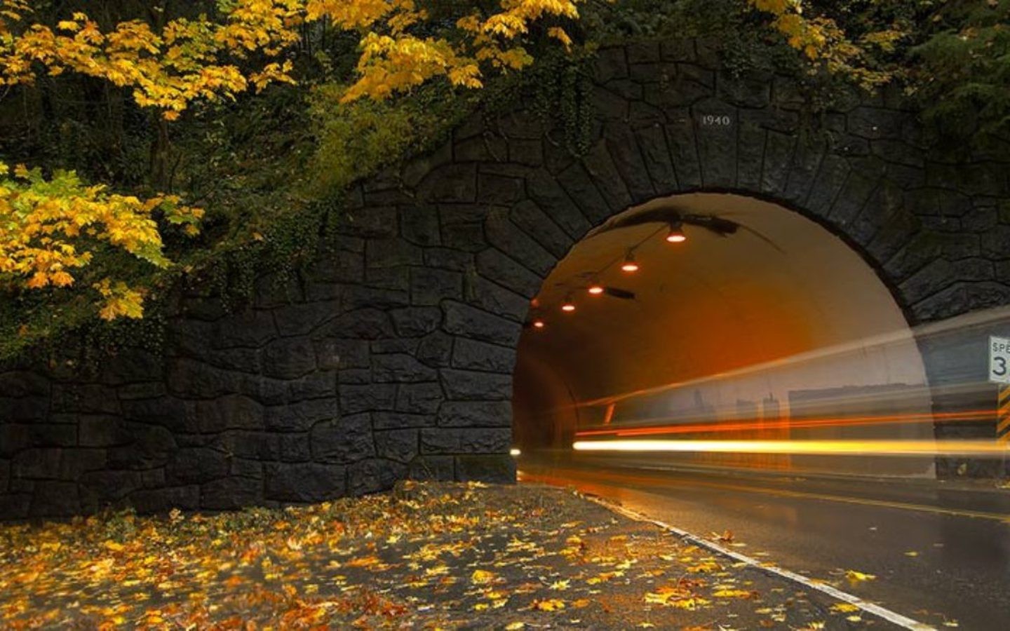 General 1440x900 landscape tunnel pagemaster fall fallen leaves yellow stone arch light trails wet street road long exposure