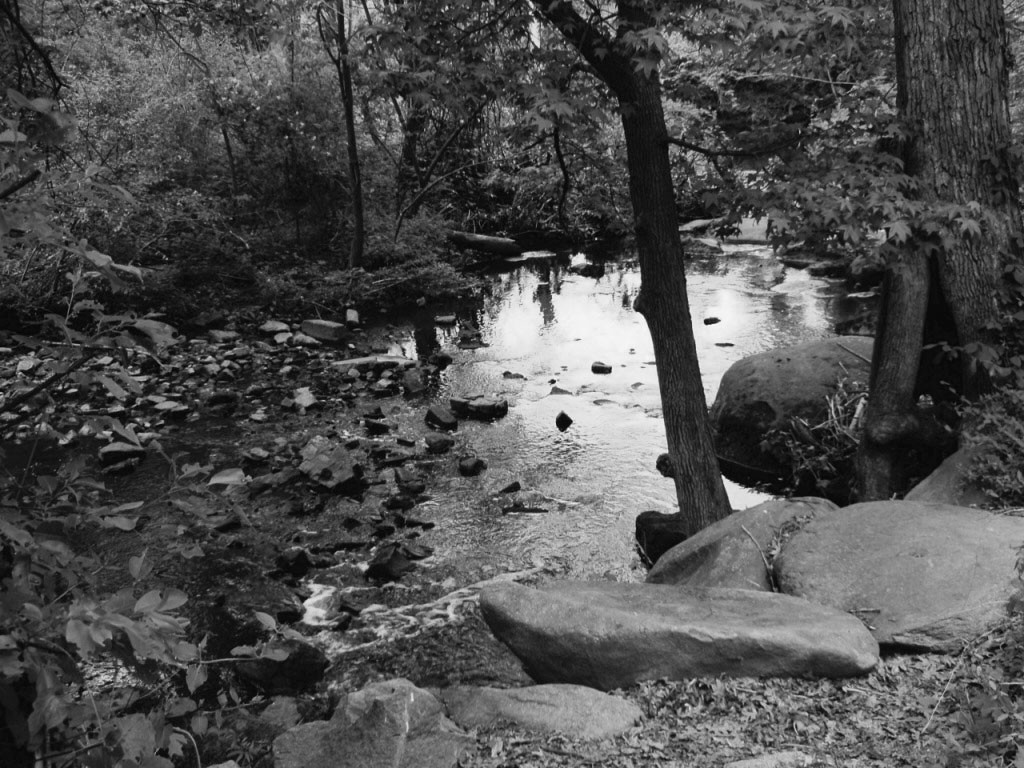 General 1024x768 nature water river monochrome outdoors trees