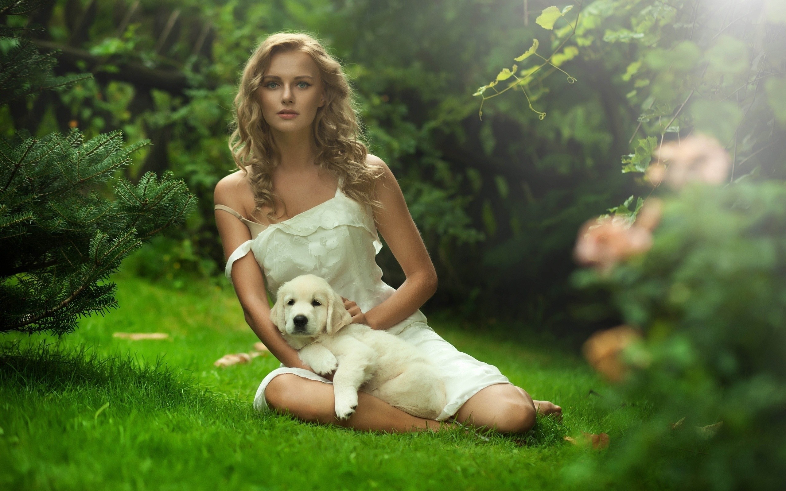 People 2560x1600 blonde women outdoors women white dress puppies dog women with dogs model looking at viewer animals mammals dress white clothing