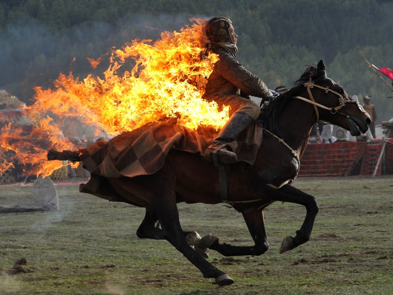 General 1280x962 fire horse burning animals mammals