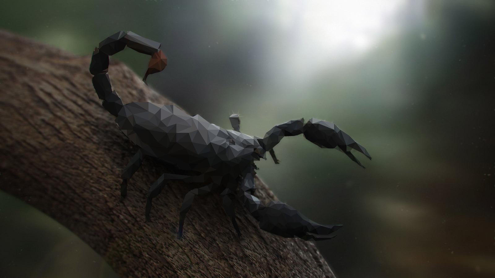 General 1600x900 nature animals trees digital art scorpions low poly branch wood depth of field black arachnid