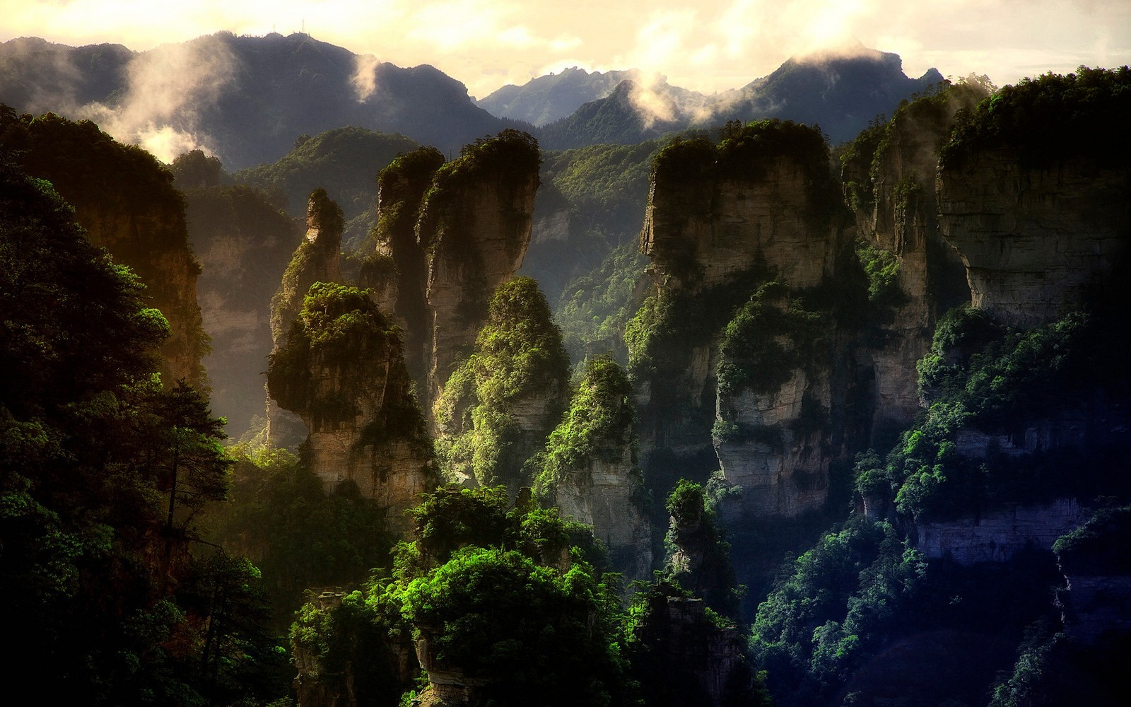 General 1600x1000 nature landscape mountains forest sunset mist limestone rocks China Avatar World Heritage Site trees