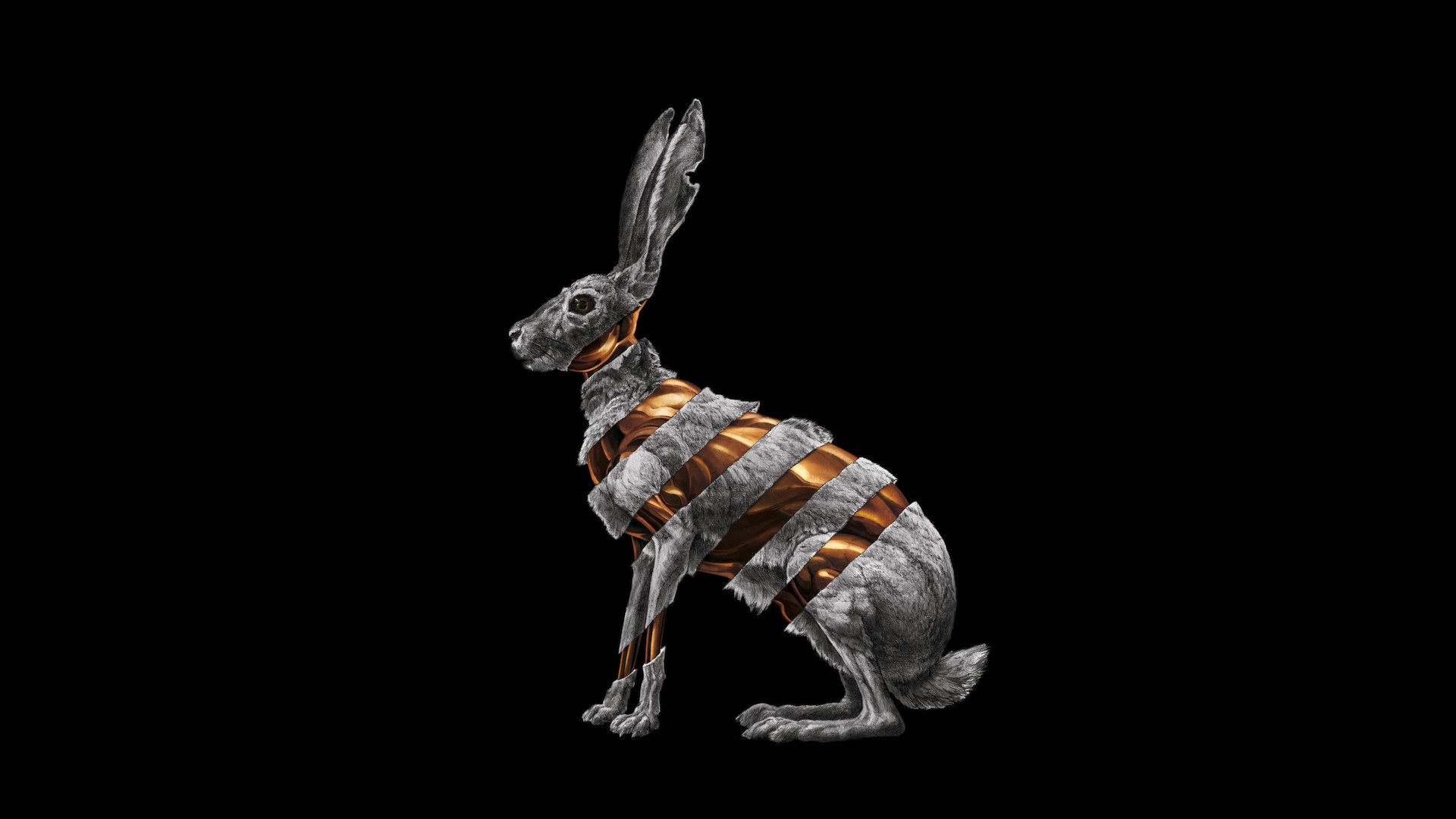 General 1920x1080 rabbits album covers simple background black background digital art animals mammals music