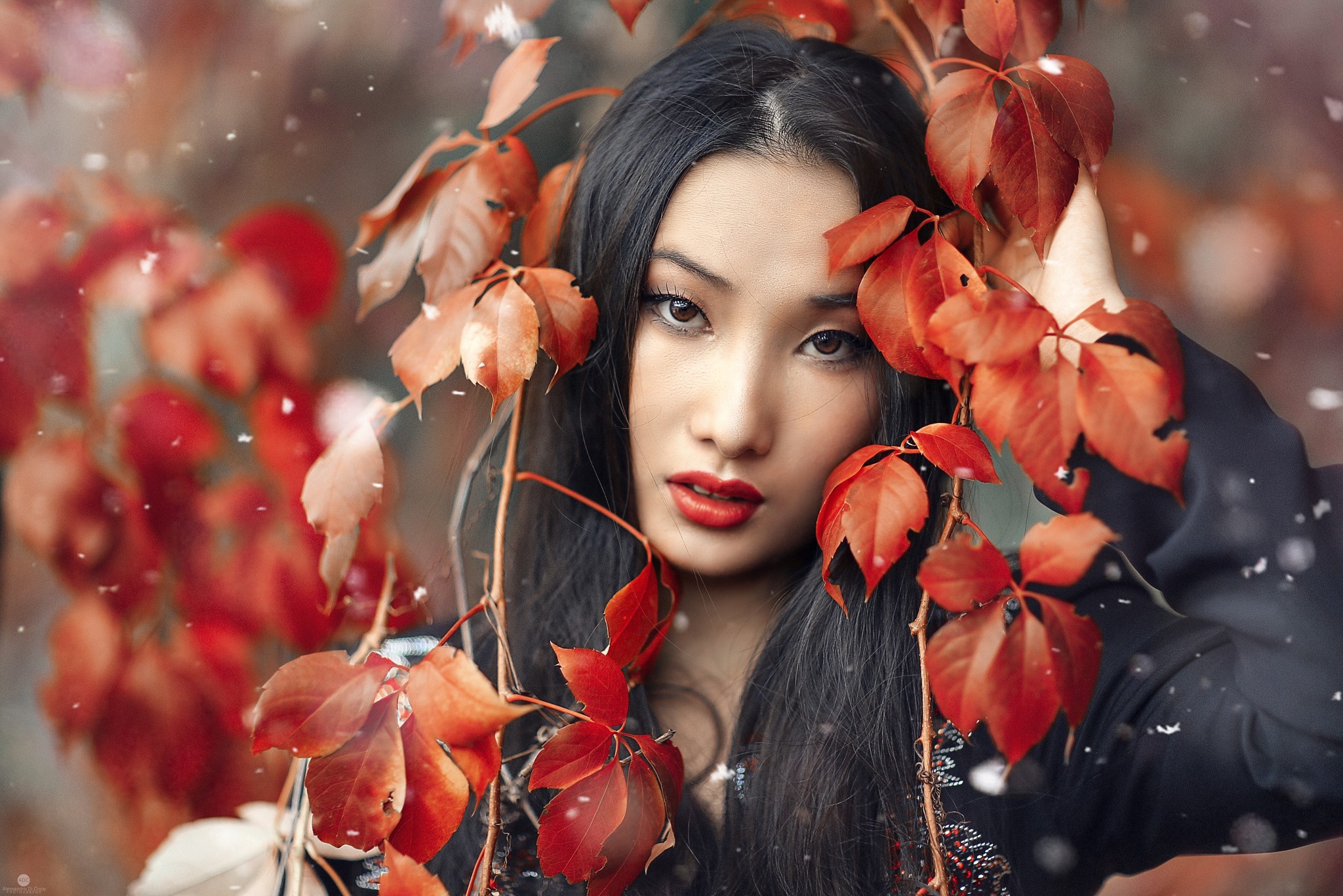 People 2048x1366 women photography Asian fall Alessandro Di Cicco makeup red lipstick lipstick leaves plants black hair looking at viewer women outdoors