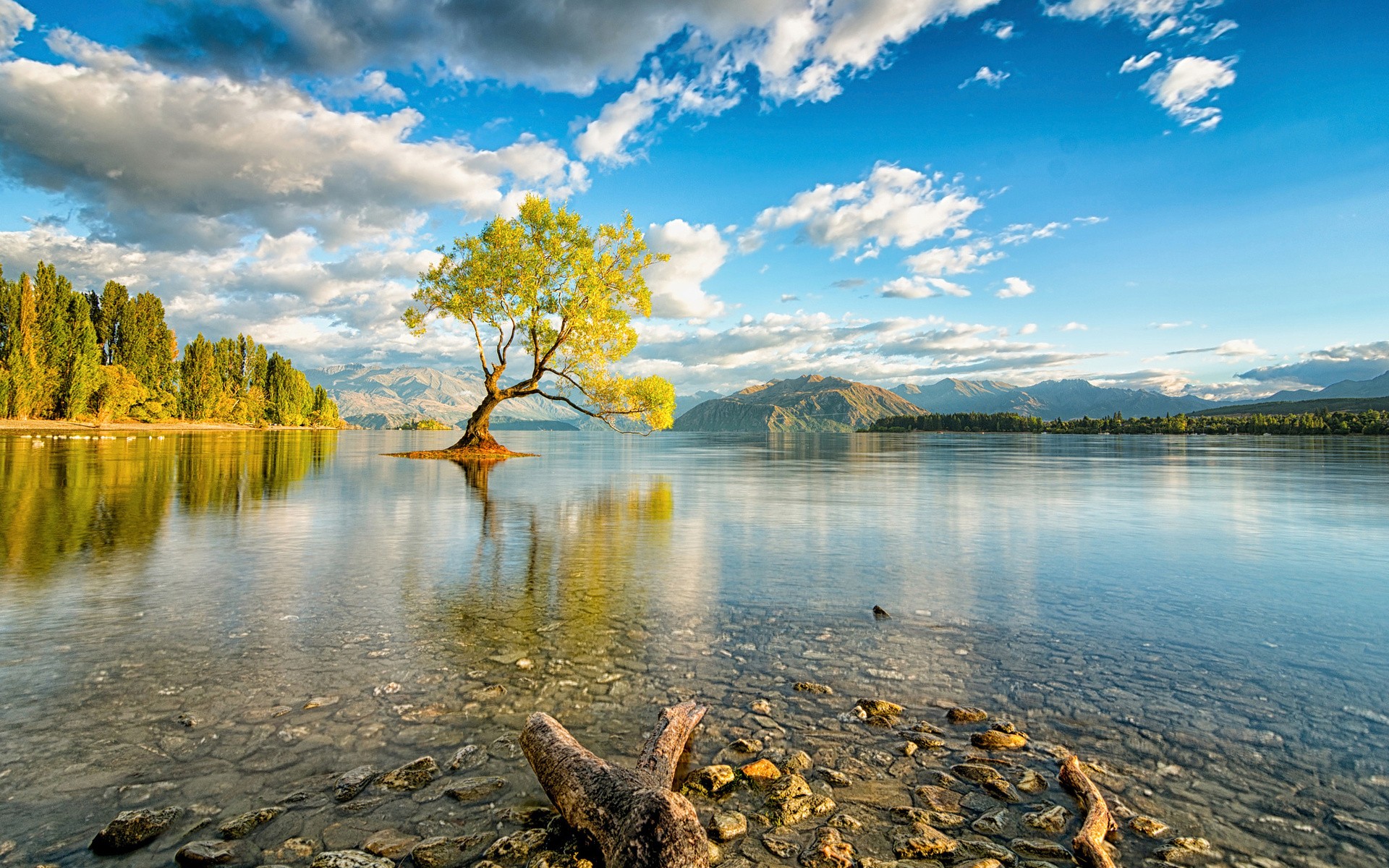 General 1920x1200 nature colorful photography New Zealand Lake Wanaka water trees landscape sky clouds
