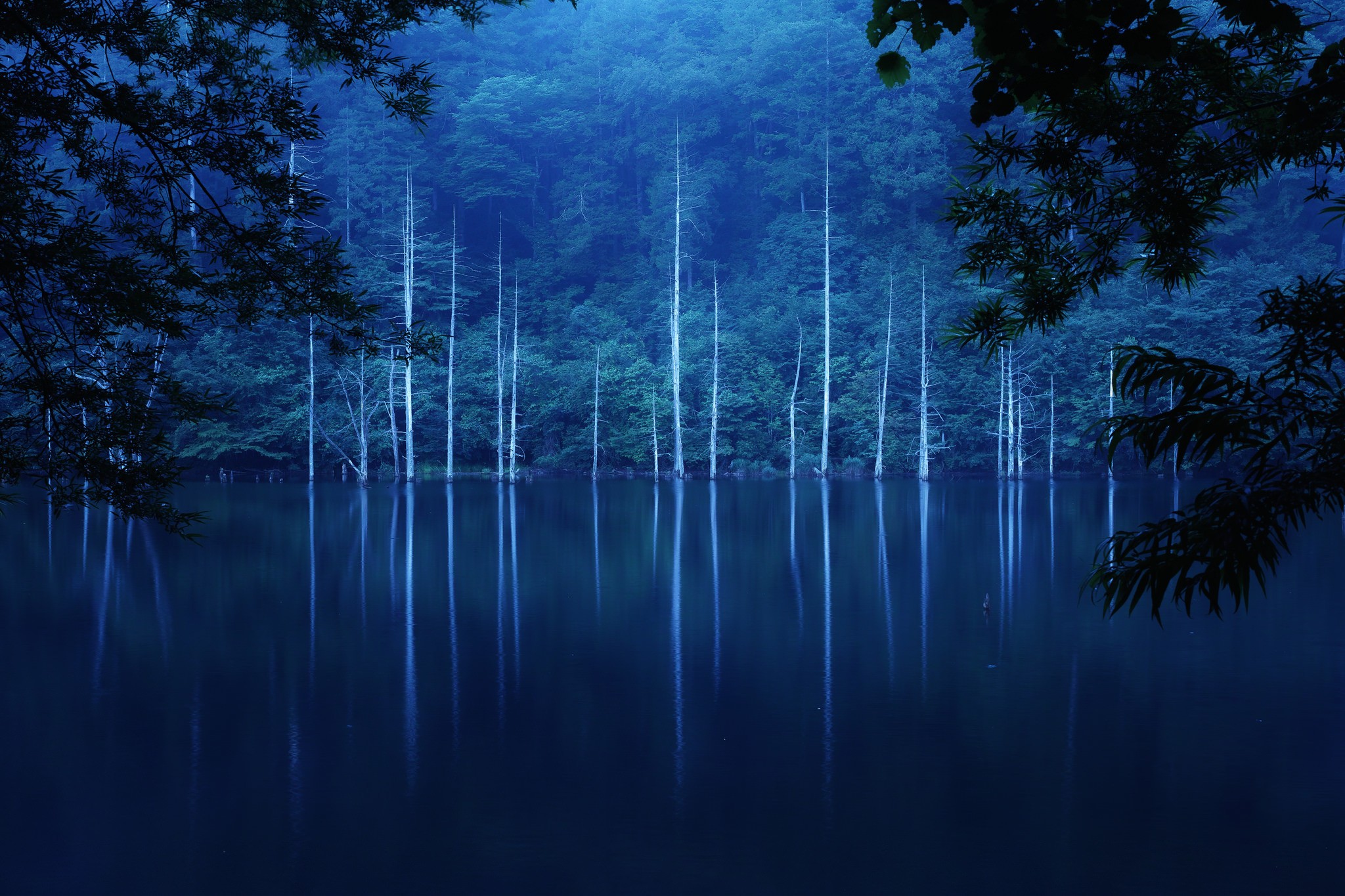 General 2048x1365 forest trees lake landscape nature reflection outdoors low light
