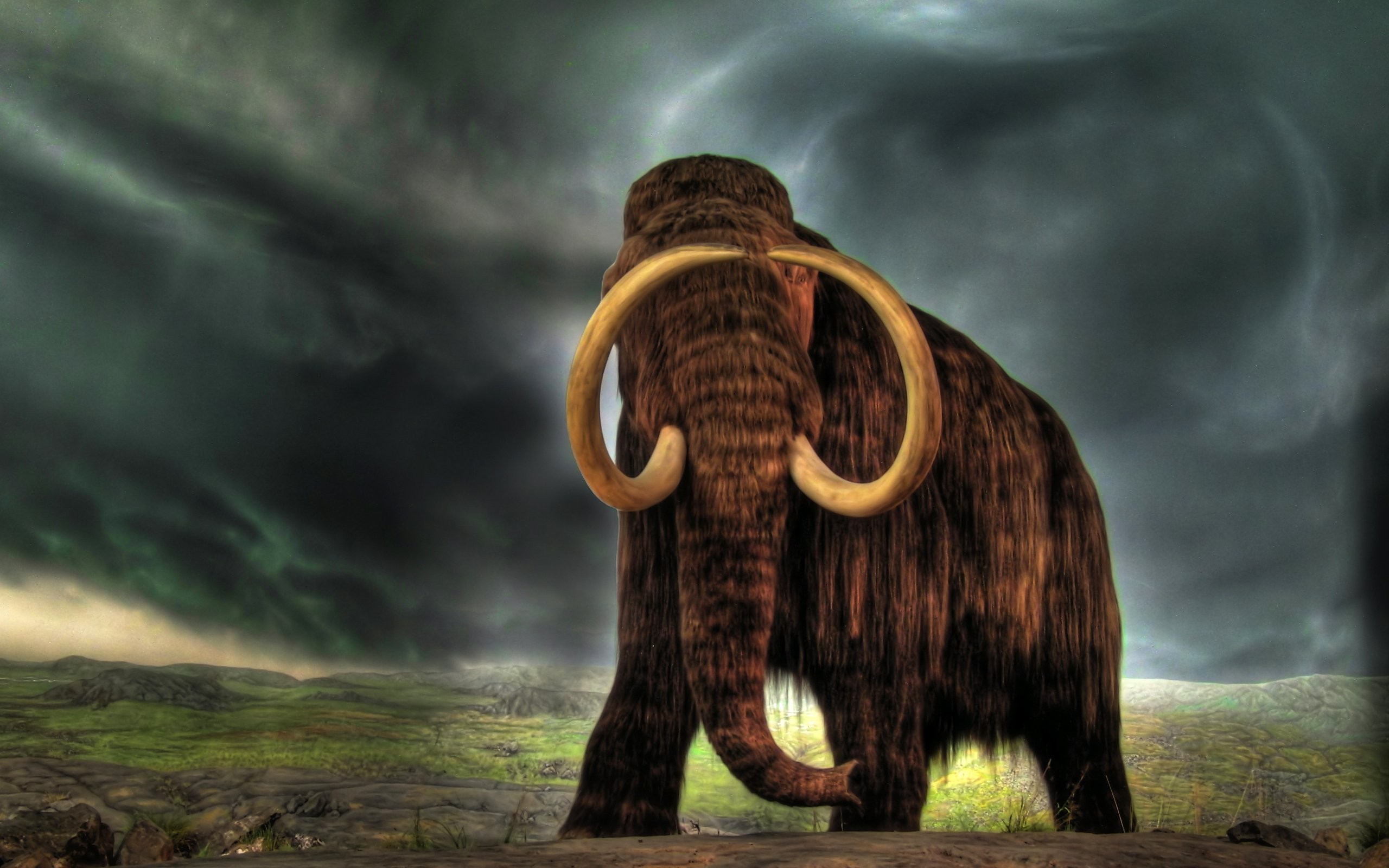 General 2560x1600 mammoths animals artwork mammals