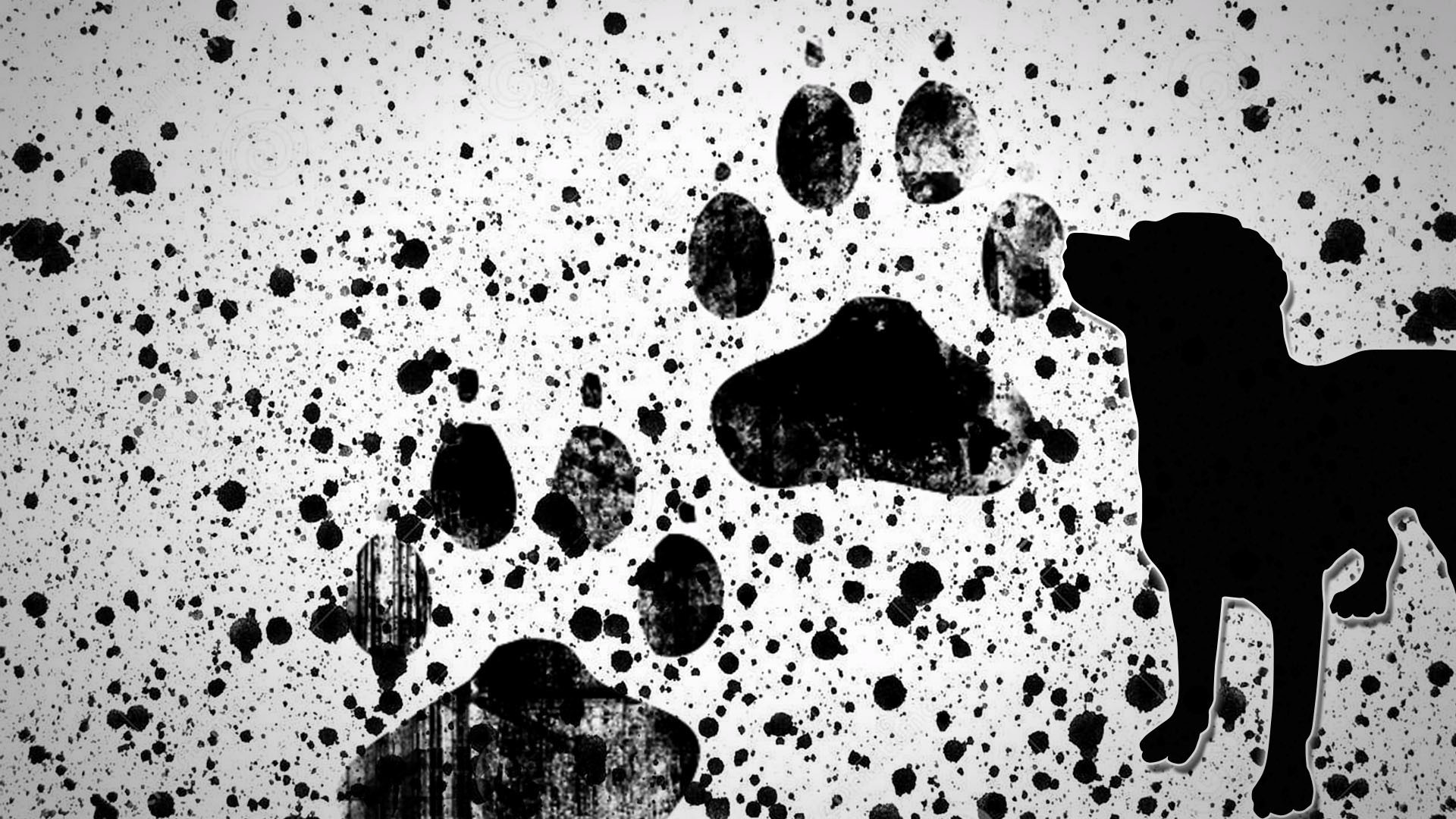 General 1920x1080 paint splatter digital art dog animals monochrome