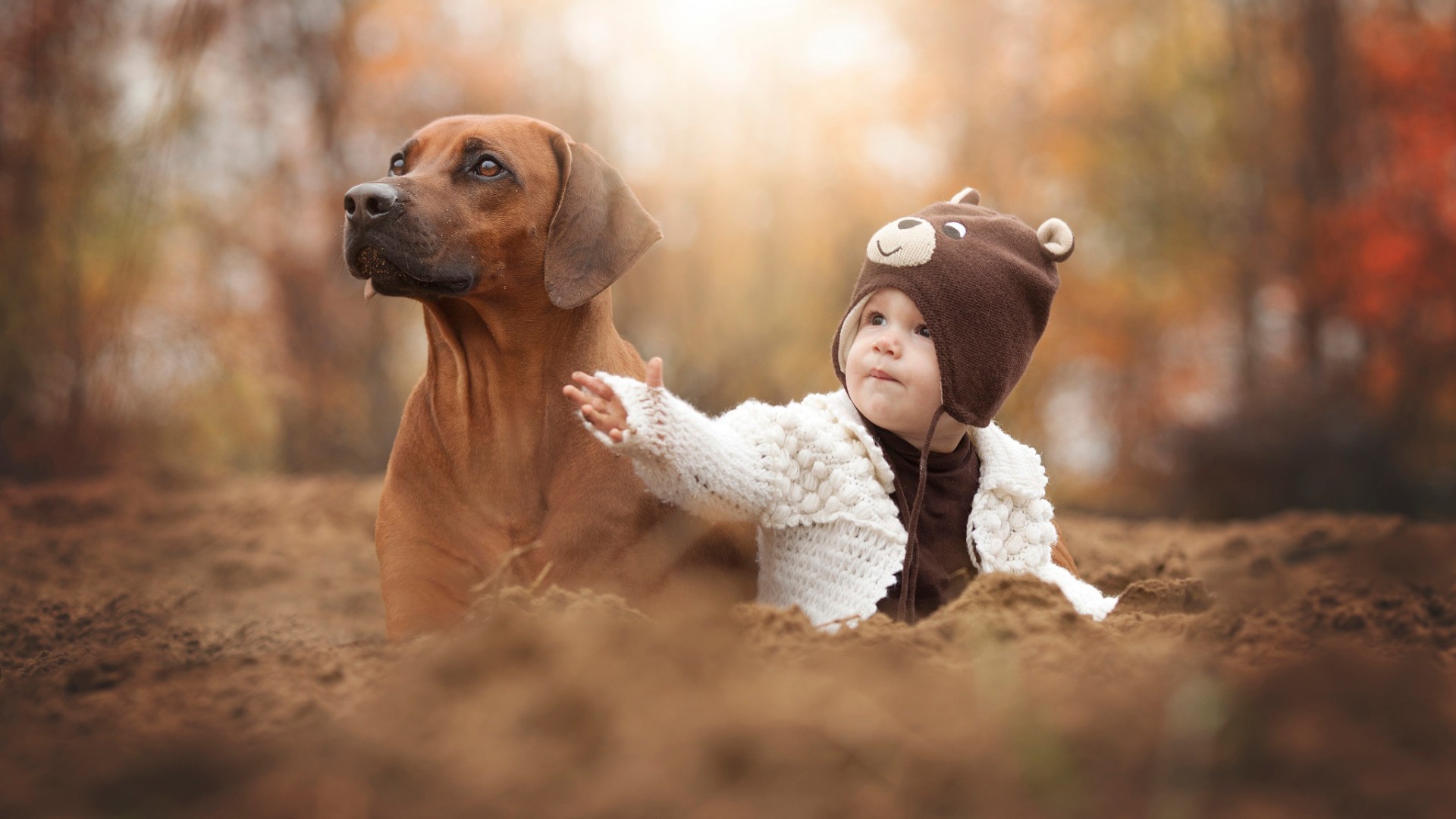 People 1920x1080 animals dog baby hat depth of field mammals outdoors