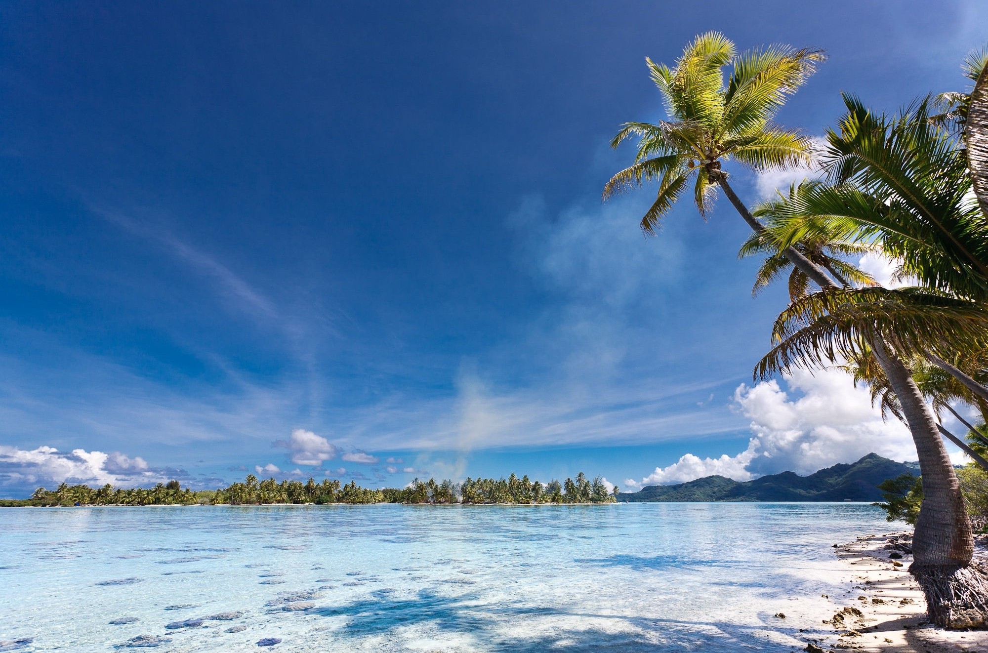 General 2000x1322 landscape nature beach palm trees island sea tropical Eden mountains summer French Polynesia