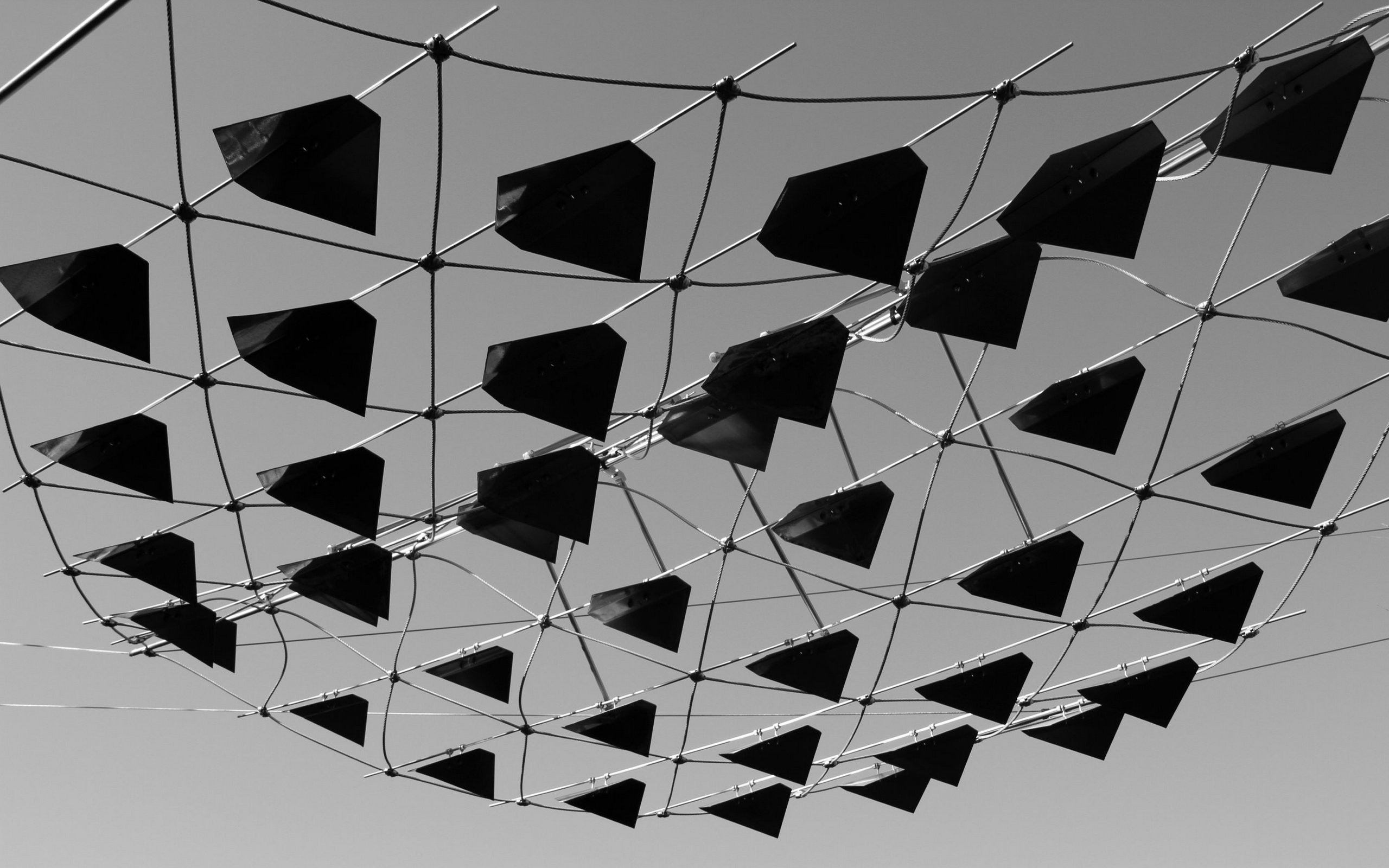 General 2560x1600 photography wires monochrome