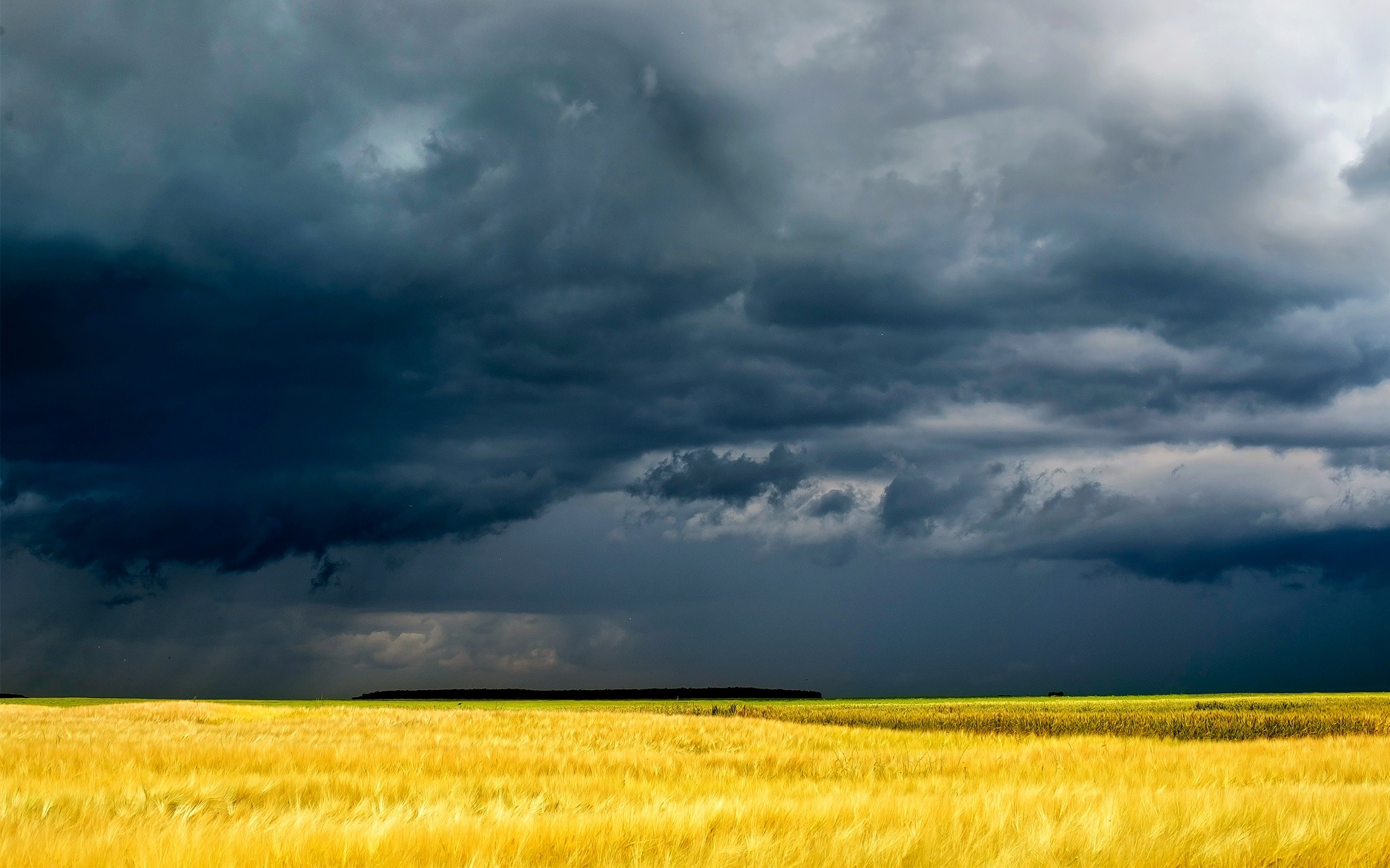 General 2200x1375 field grain plains landscape storm summer clouds yellow Agro (Plants)