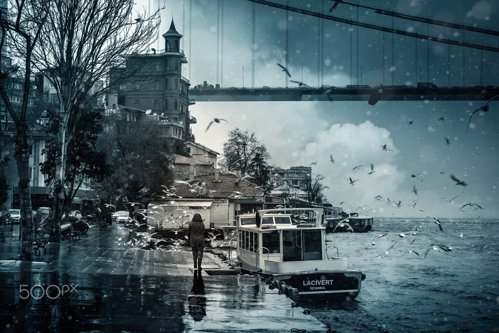 General 2048x1365 Istanbul Turkey Bosphorus bridge sea birds seagulls boat rain