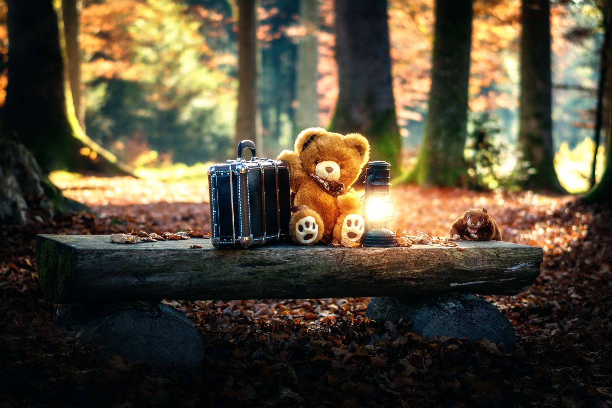 General 2048x1365 teddy bears toys trees suitcase fall lantern bench log fallen leaves forest squirrel nature plush toy outdoors sitting