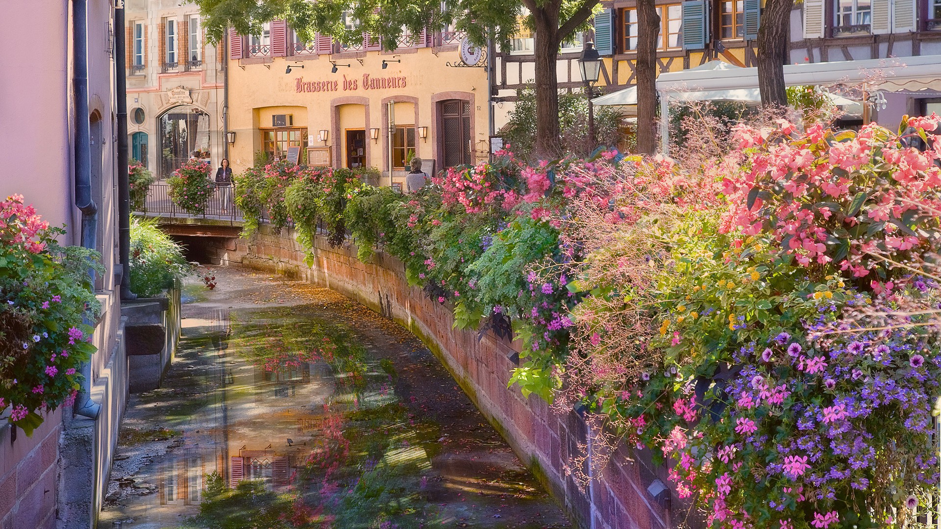 General 1920x1080 flowers city water plants vibrant Colmar France canal colorful