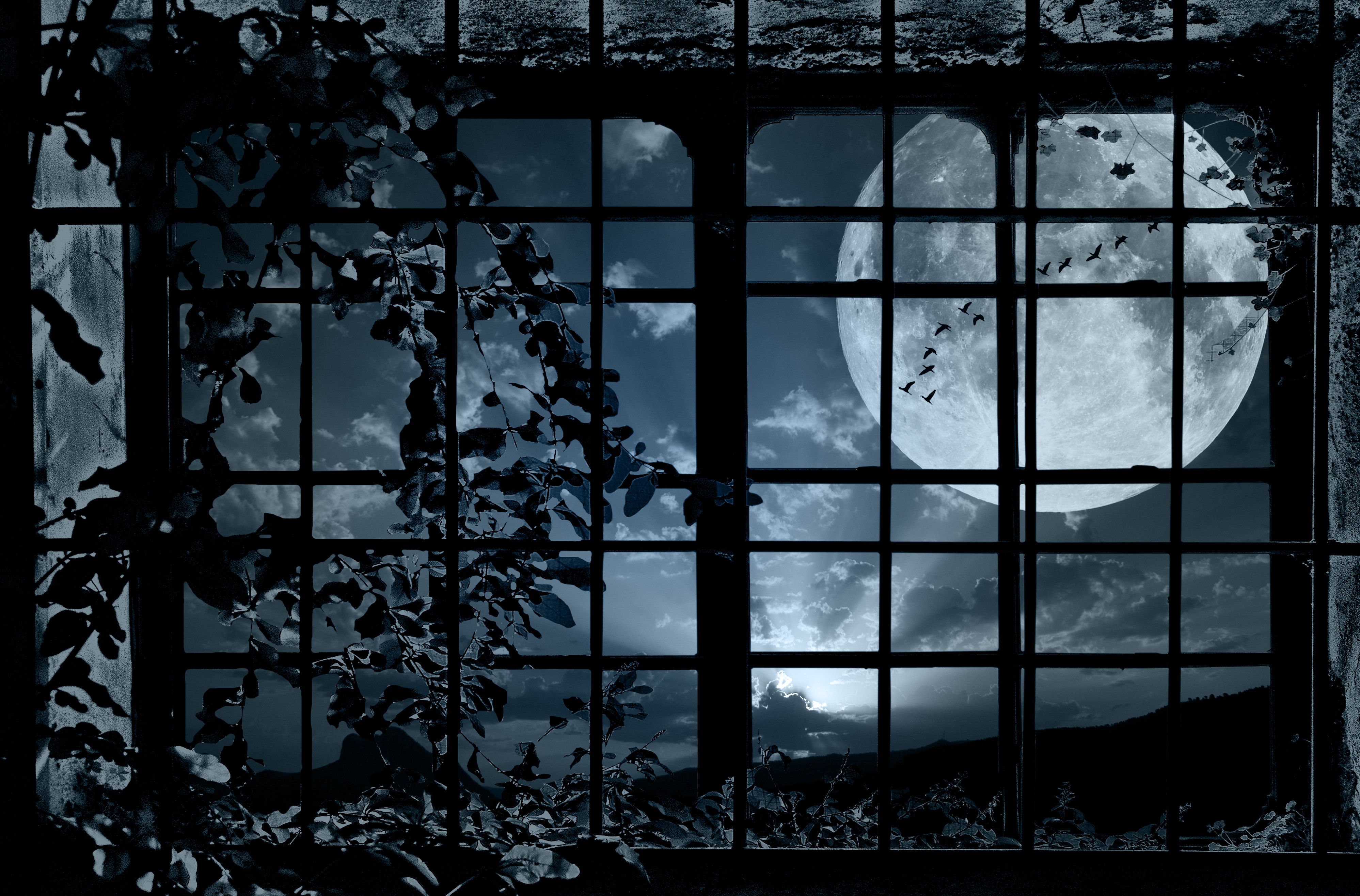 General 3994x2632 fantasy art window Moon night