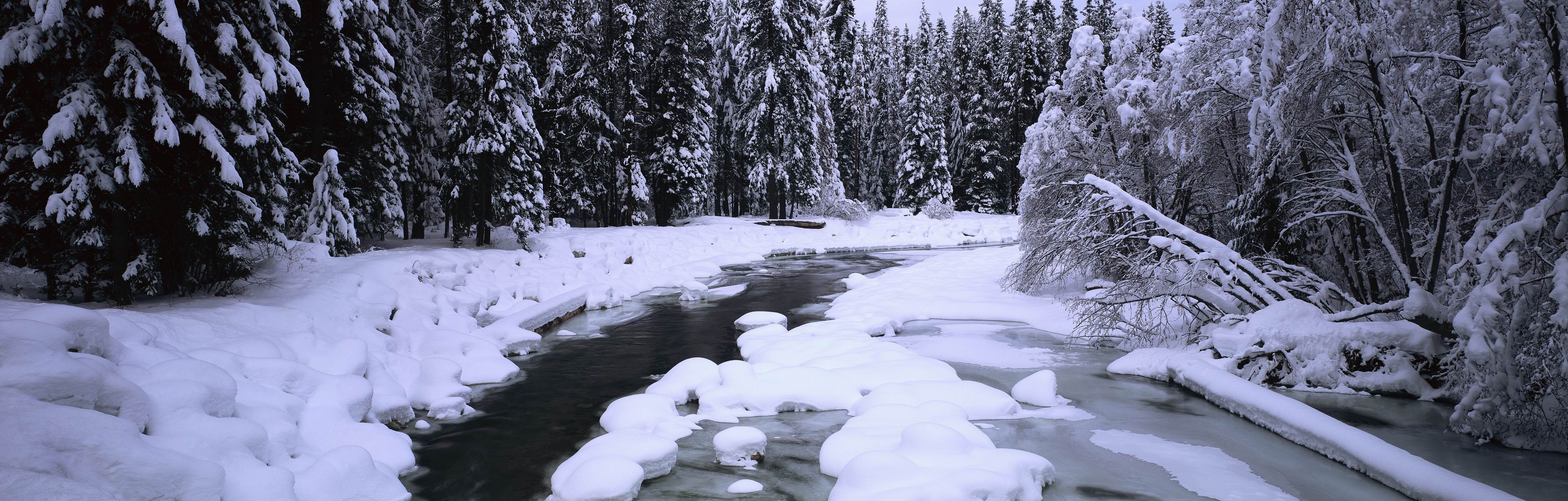 General 3750x1200 ice river forest snow trees nature
