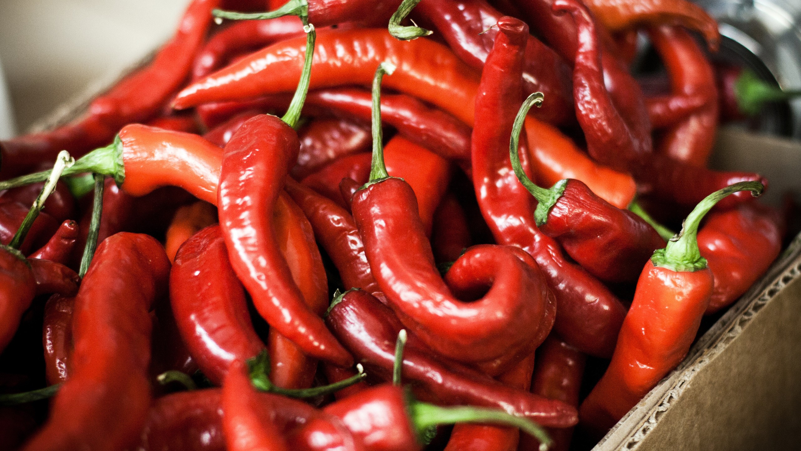 General 2560x1440 chilli peppers red vegetables food closeup still life
