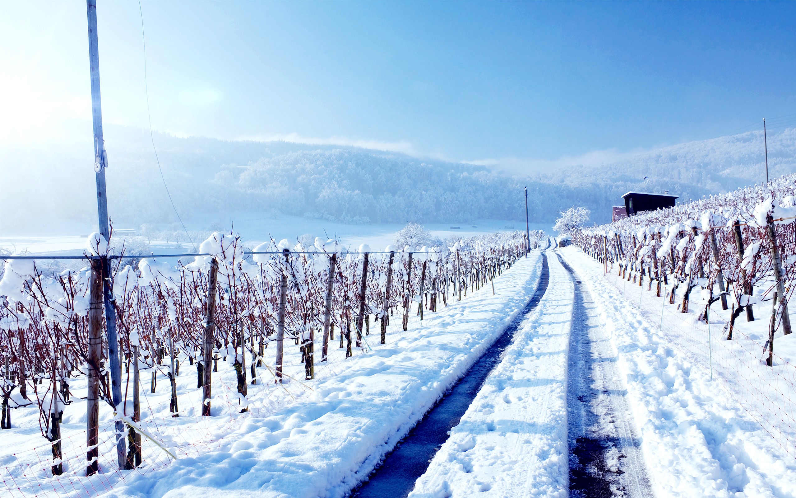 General 2560x1600 winter vineyard landscape hills snow outdoors road Agro (Plants)